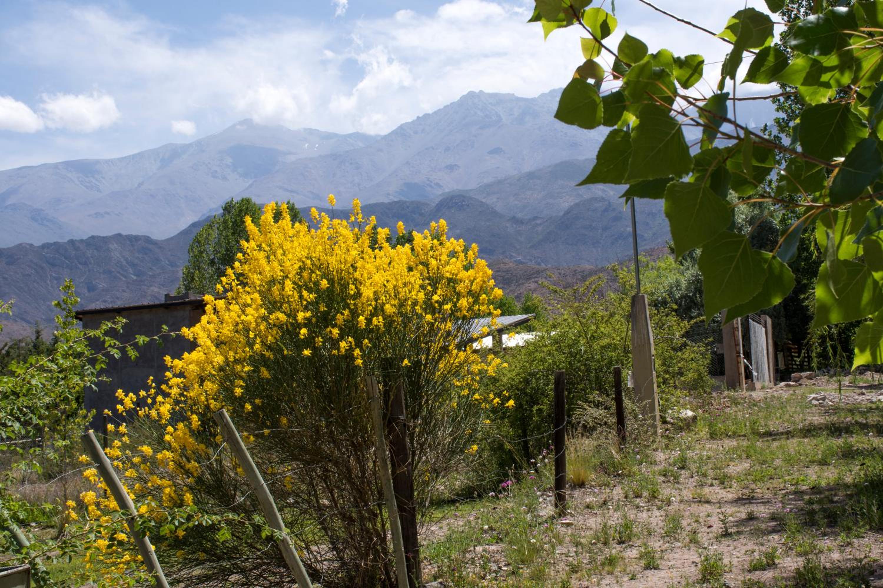 Suite Valle photo 3