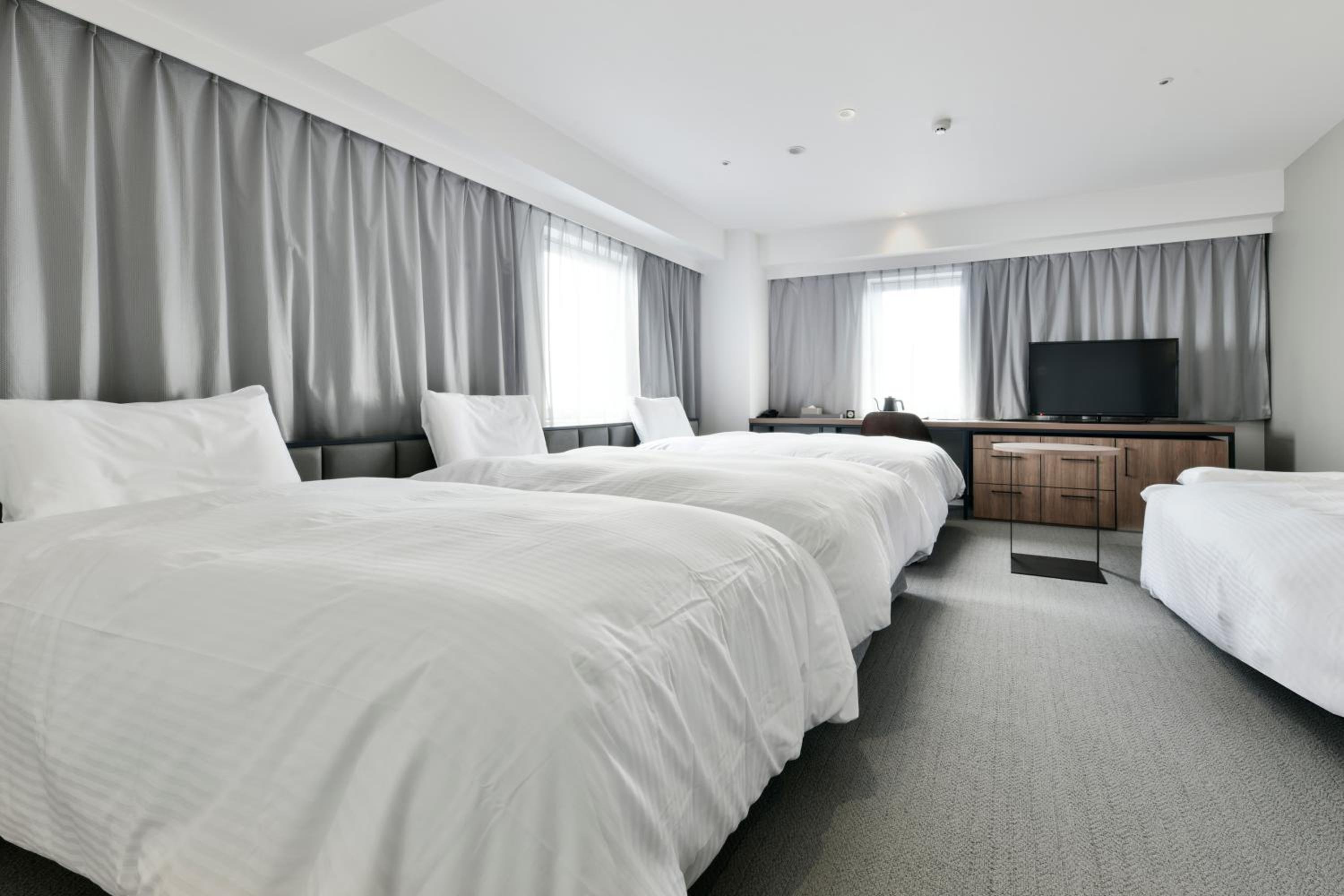 Deluxe Twin Room with 2 Extra Bed - Photo 3