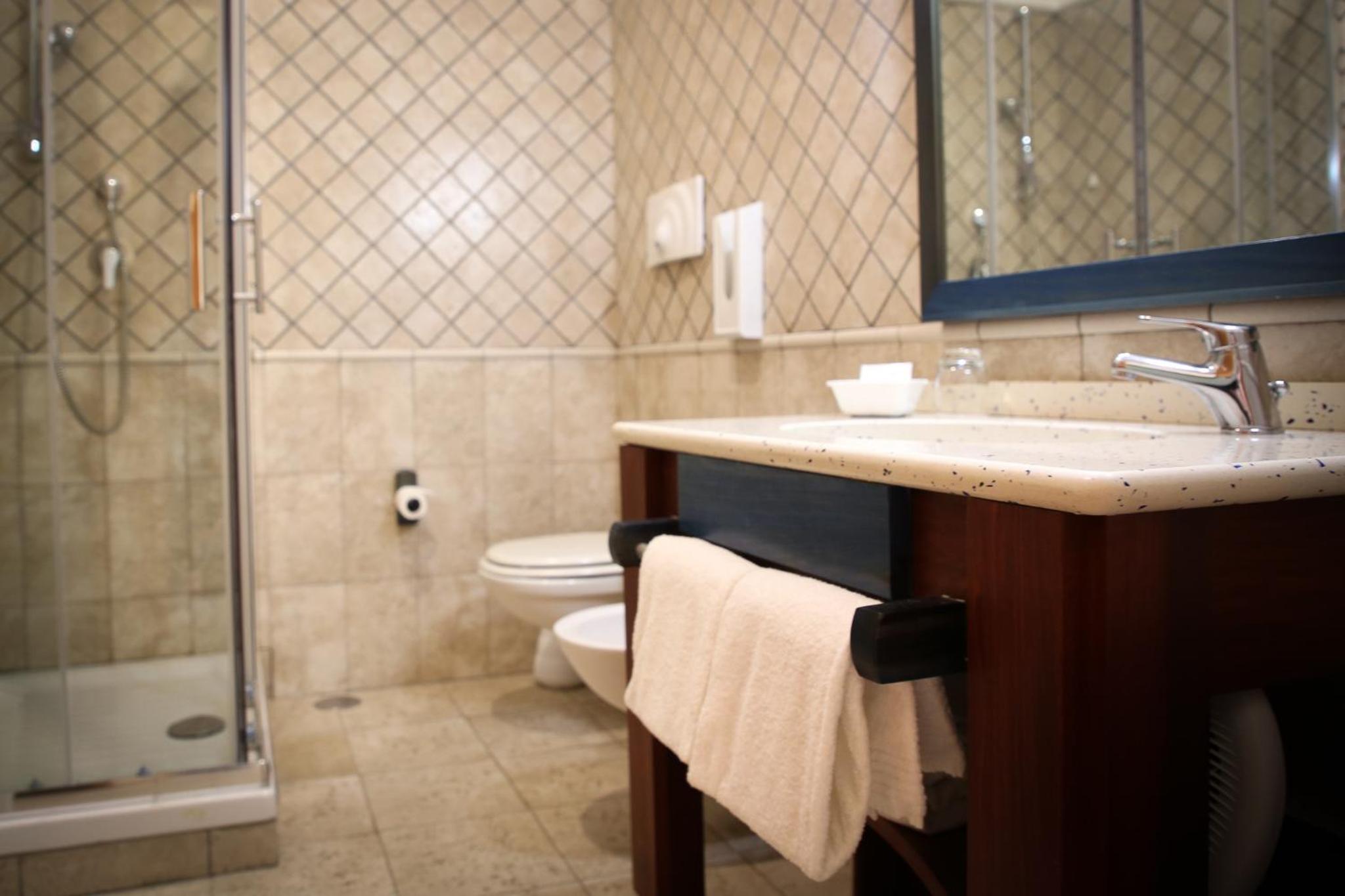 Standard Double or Twin Room