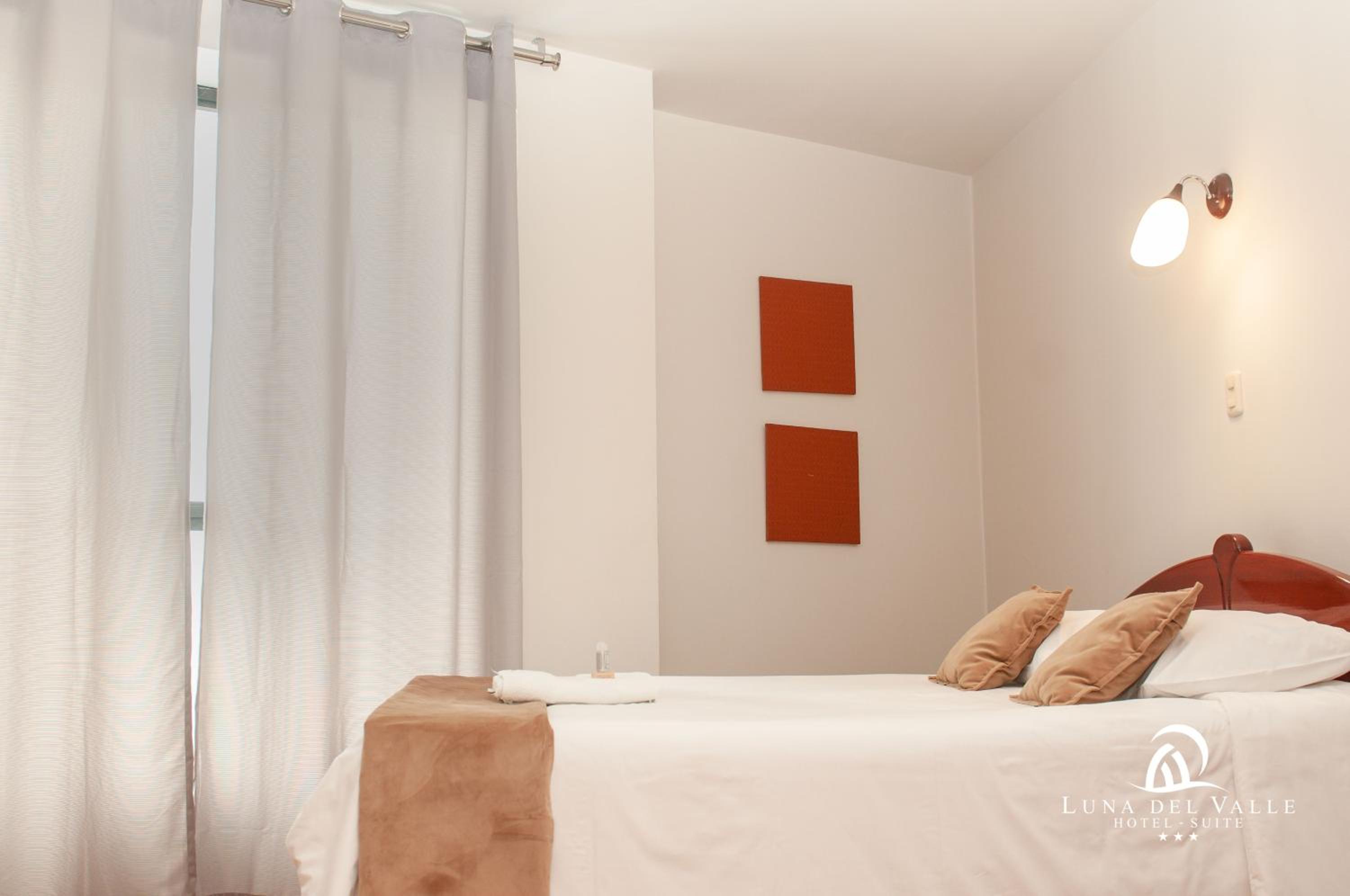 Superior Single Room photo 3