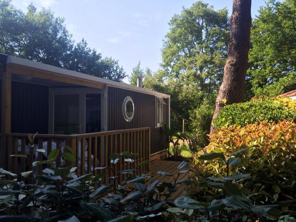 Mobile Home photo 2