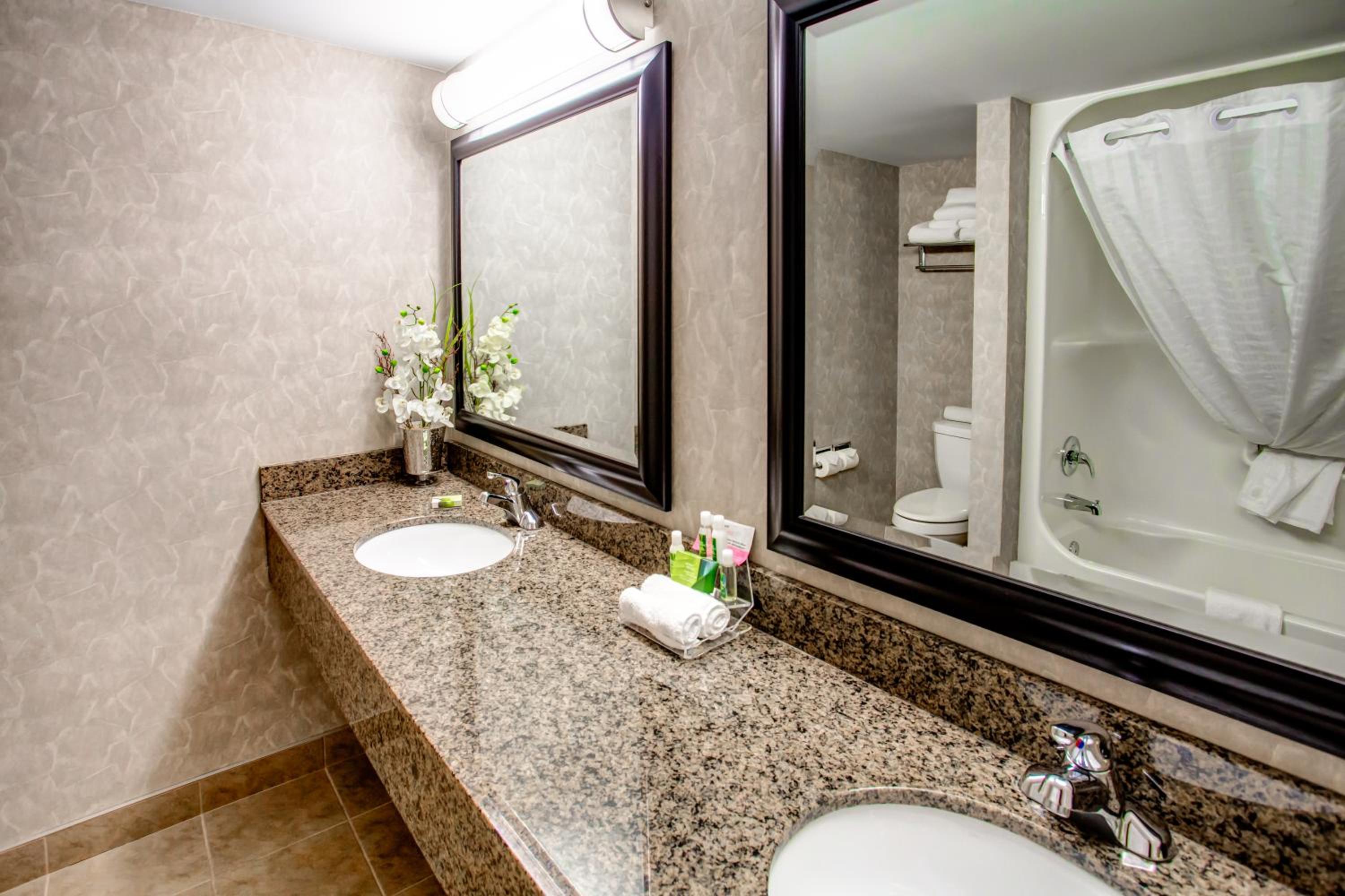 King Studio Suite - Non-Smoking - Photo 3