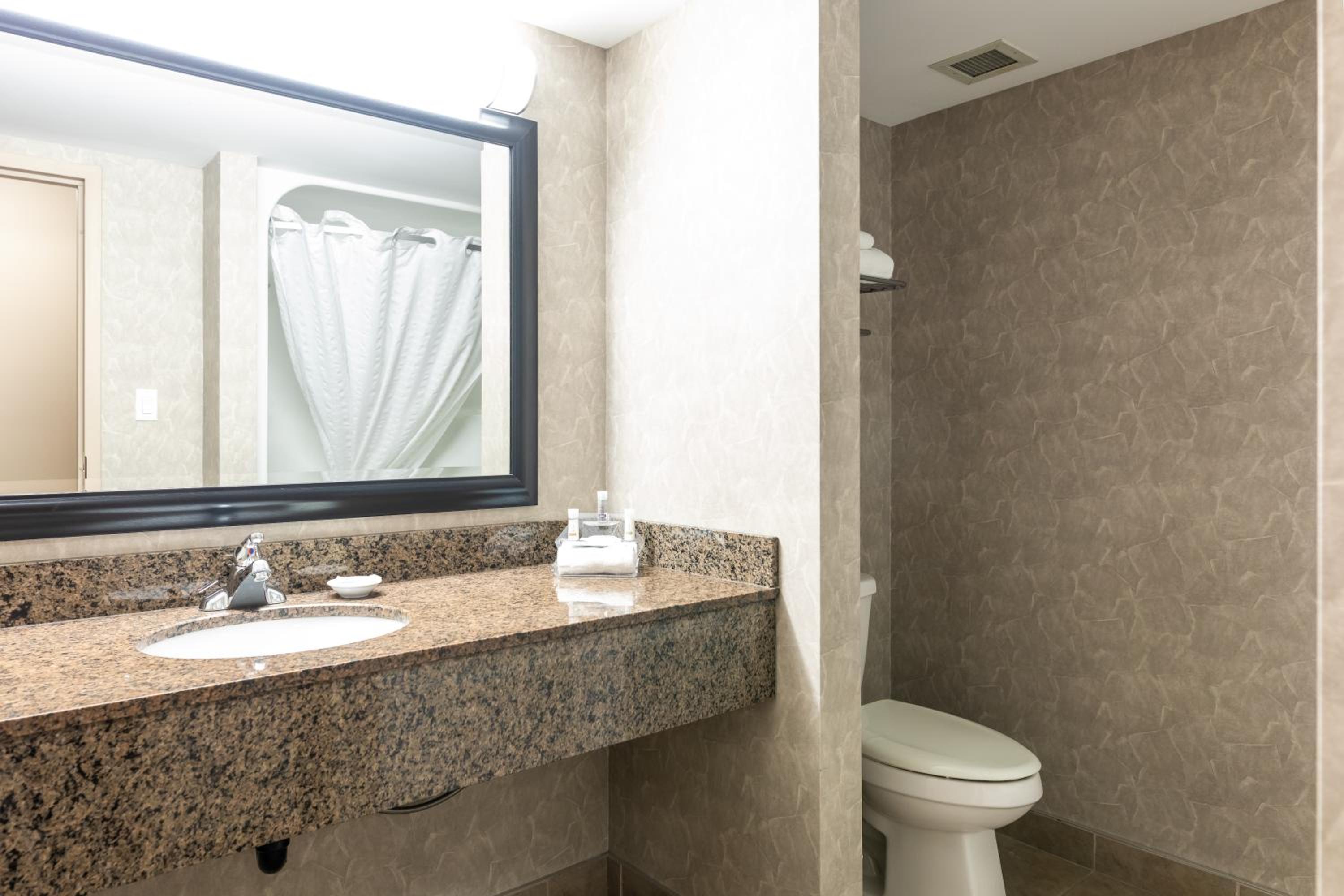 King Studio Suite - Non-Smoking - Photo 4