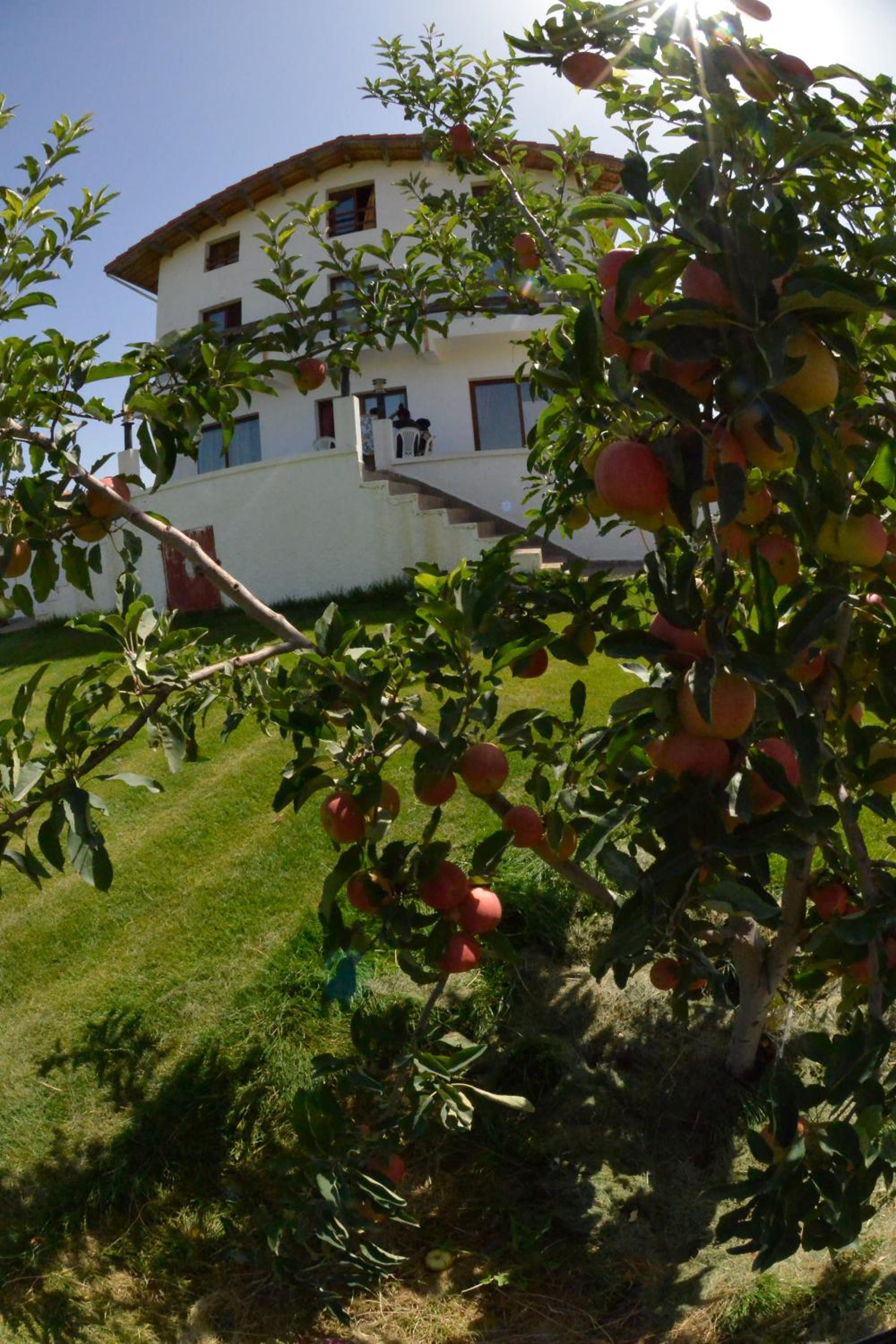 Maisonette - Photo 21