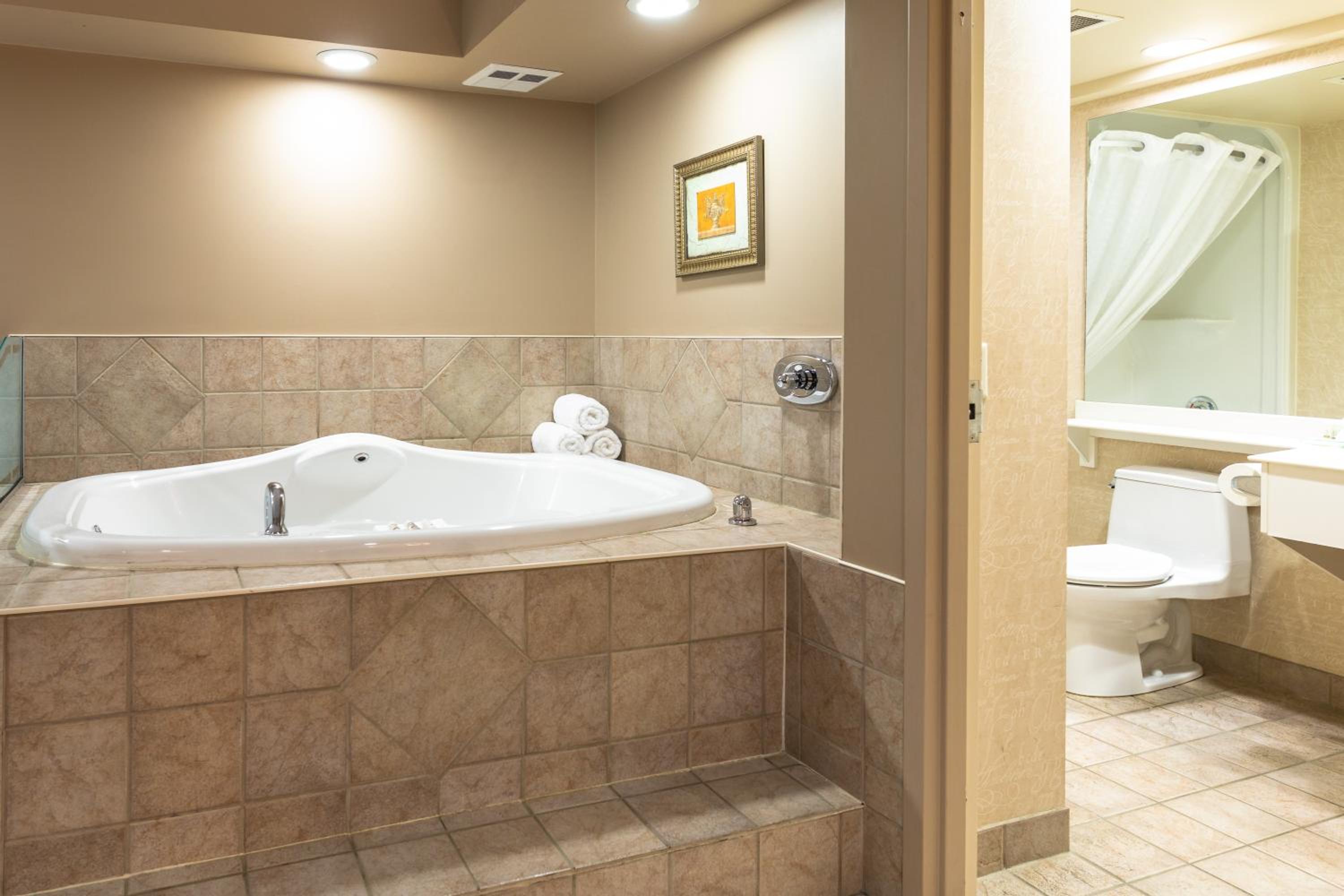 Deluxe One-Bedroom King Suite - Non-Smoking - Photo 6