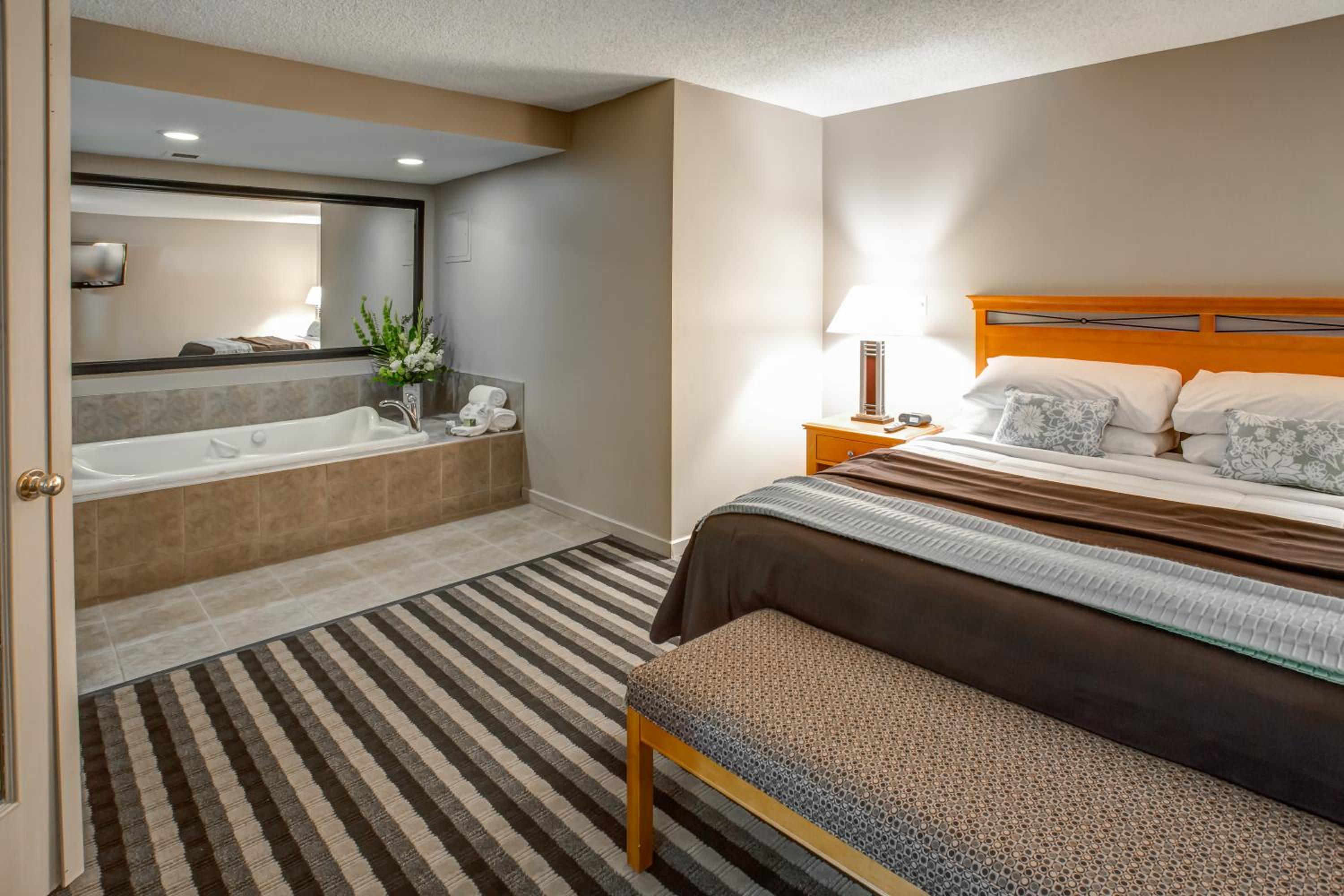 Deluxe One-Bedroom King Suite - Non-Smoking - Photo 1