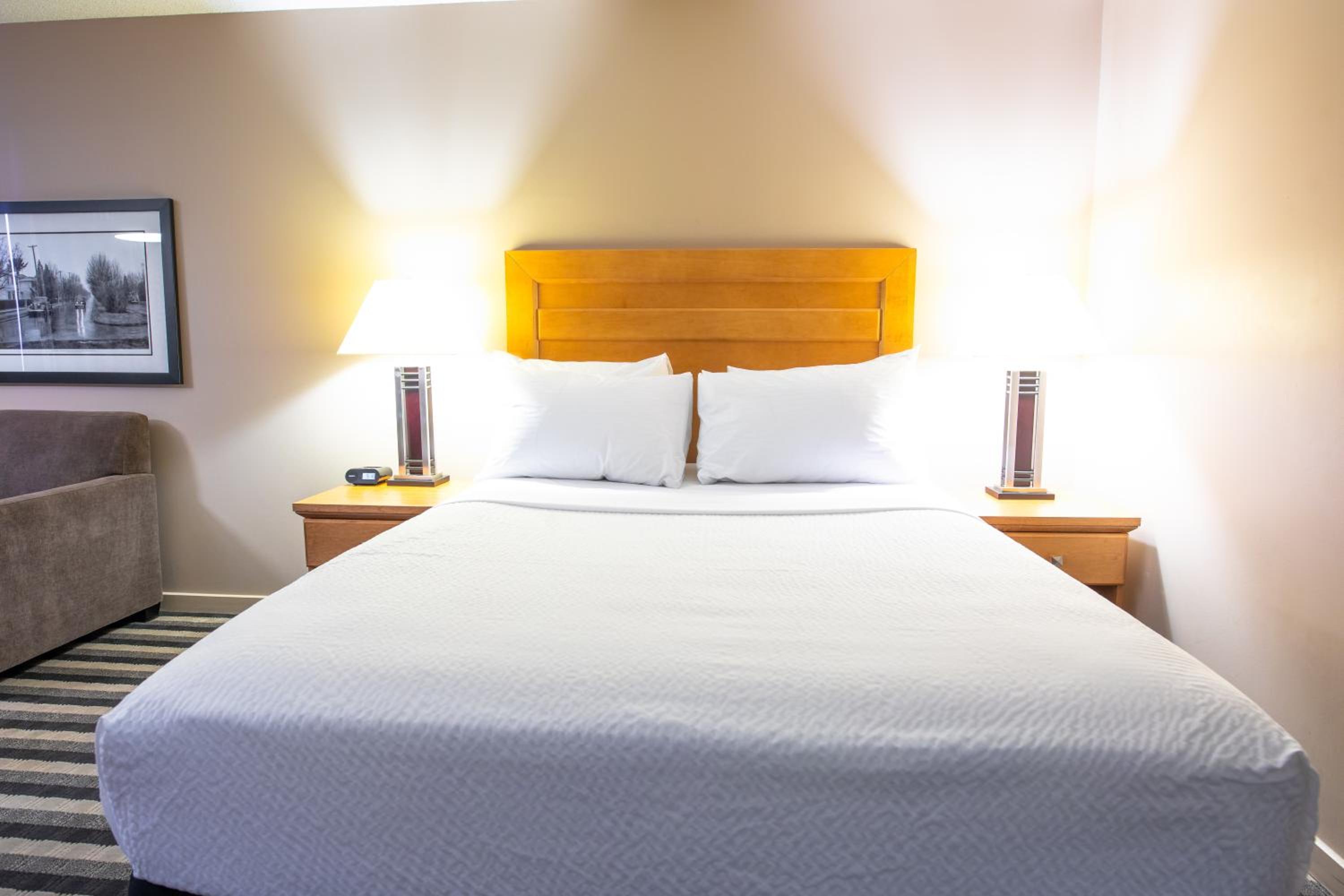 Deluxe Queen Room - Non-Smoking - Photo 1