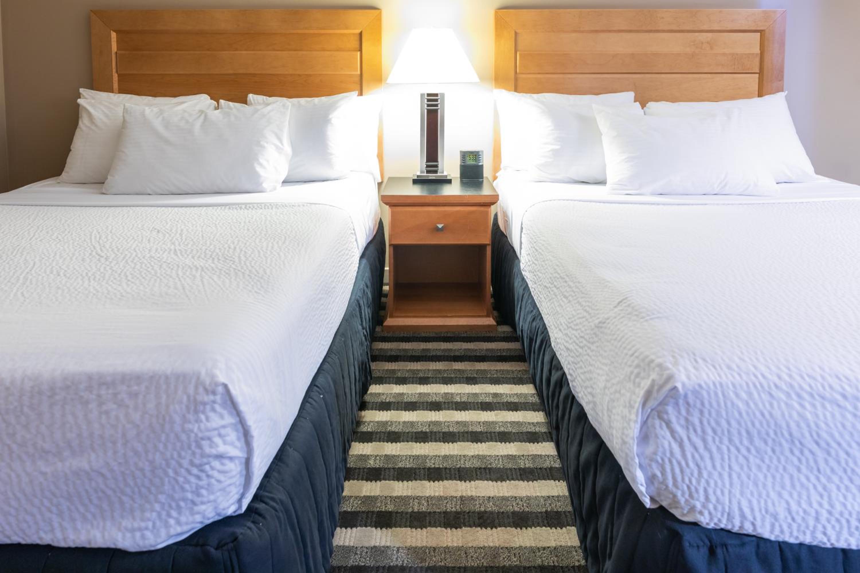 Queen Room with Two Queen Beds - Pet Friendly/Non-Smoking - Photo 1