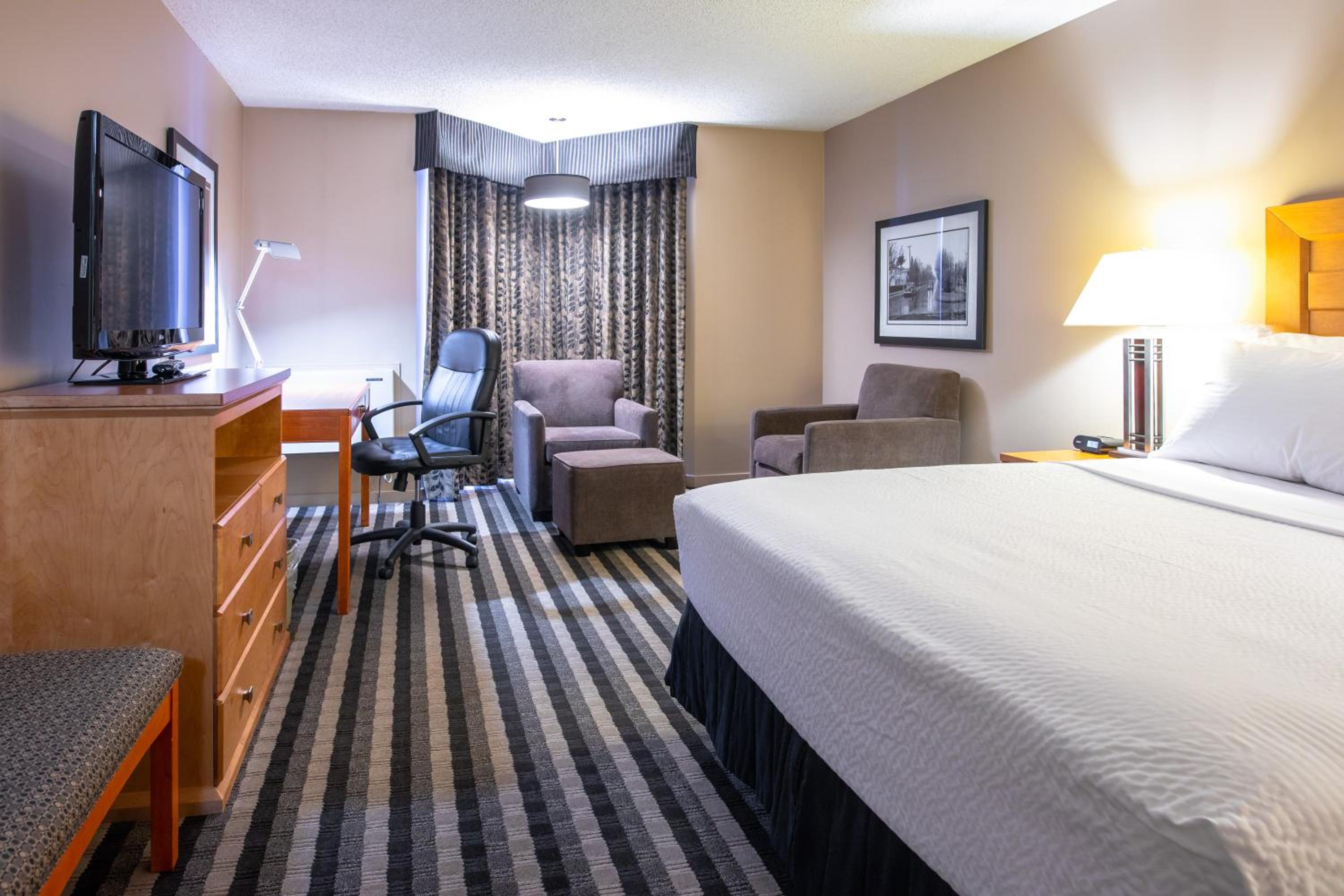 King Room - Pet Friendly/Non-Smoking - Photo 1