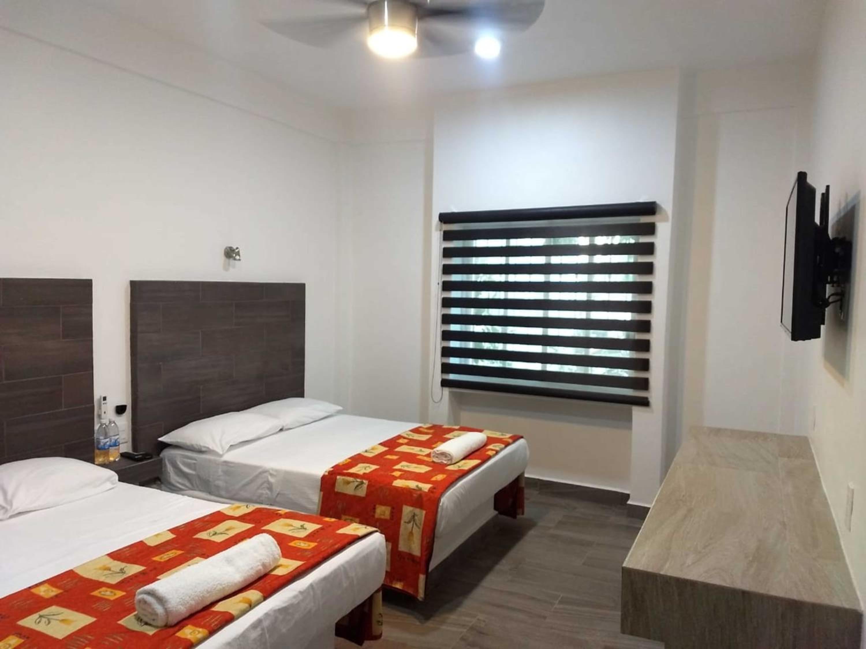 Twin Room photo 1