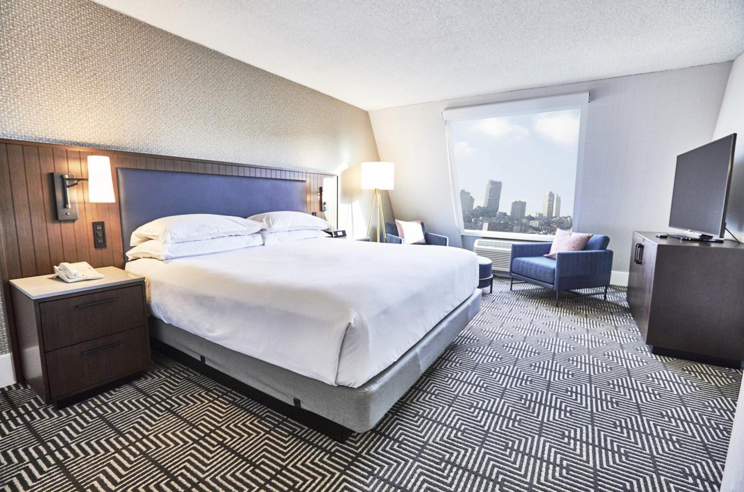 Suite - Photo 1