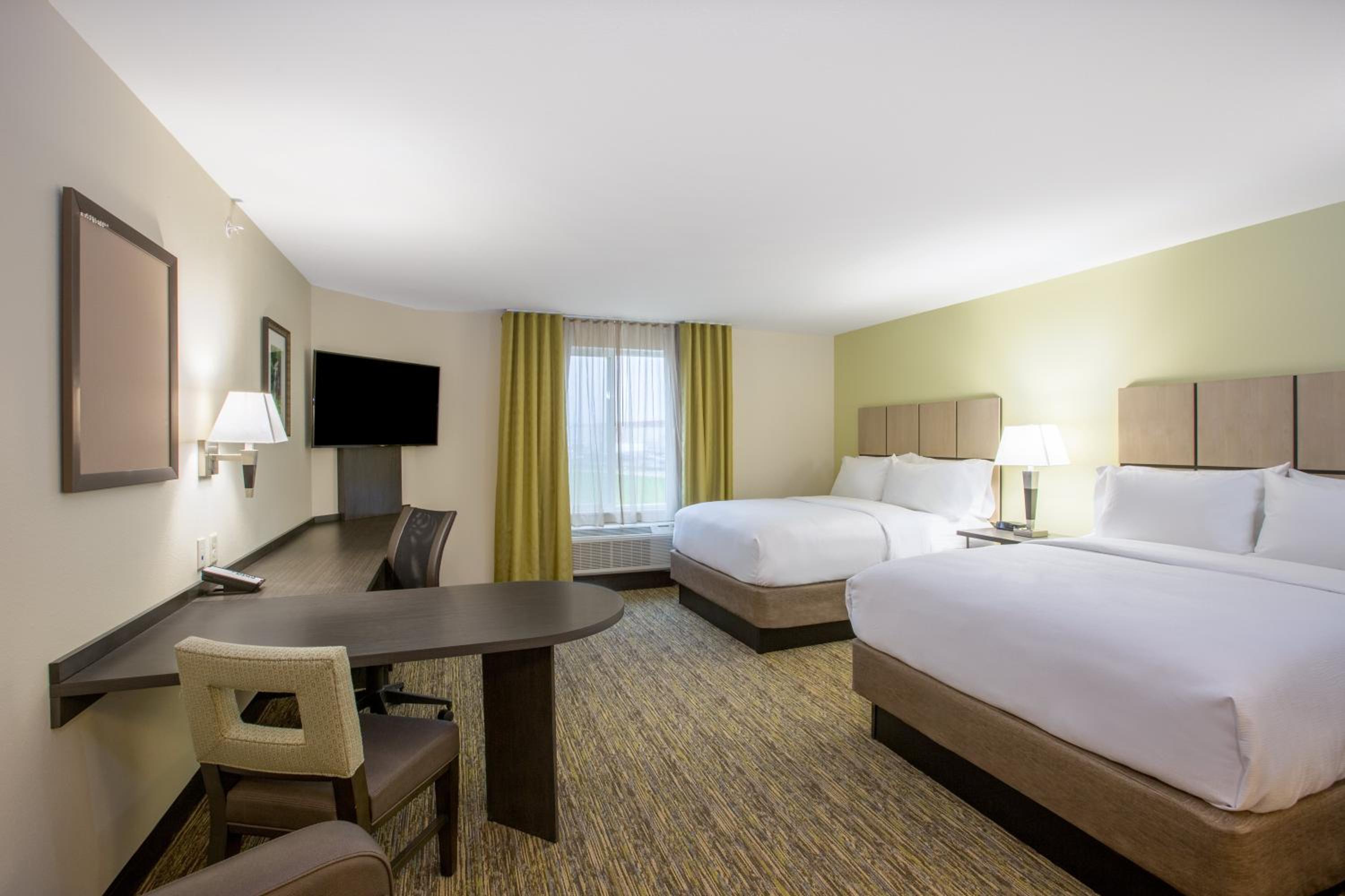 Studio Suite with Two Queen Beds photo 2