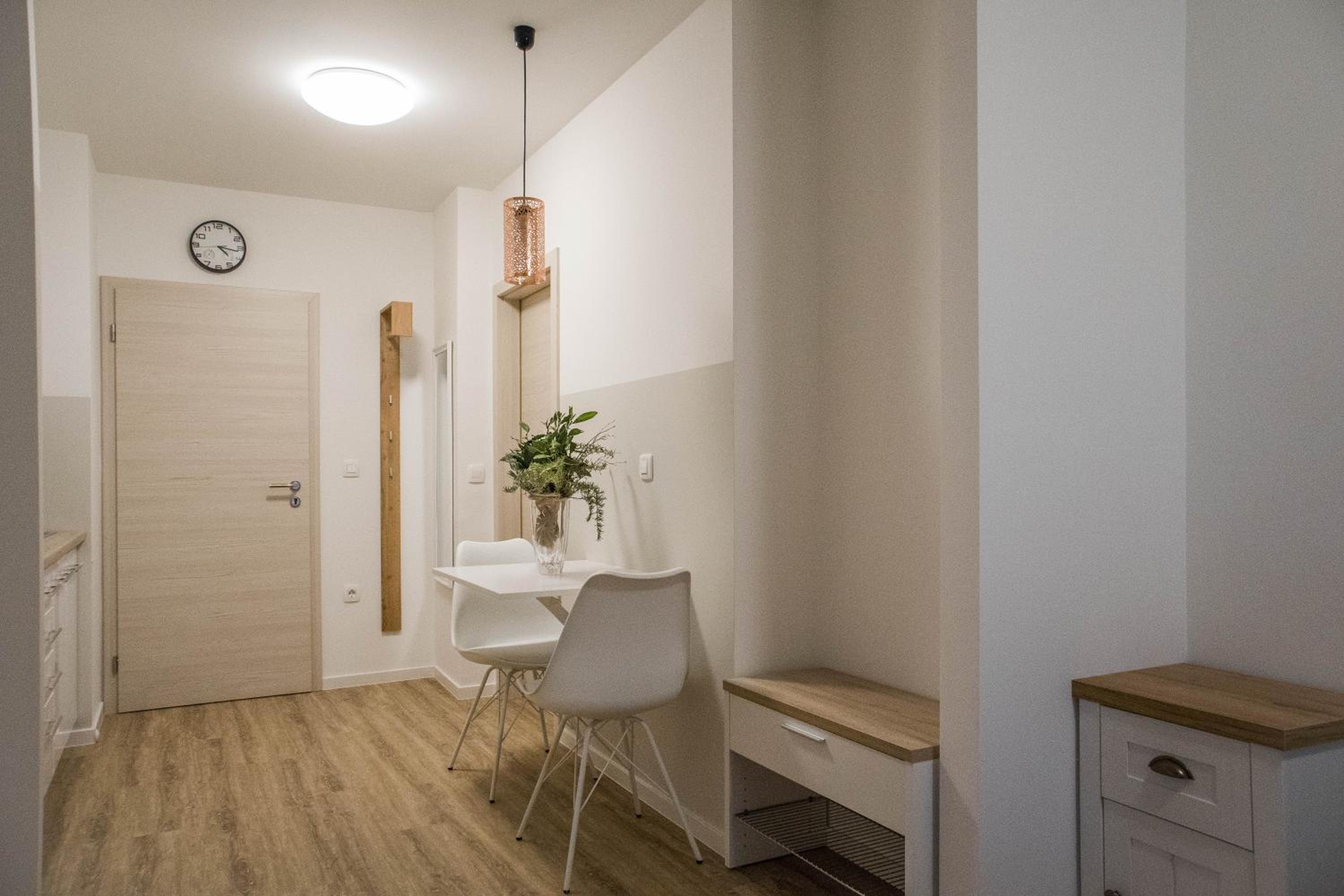 Studio Apartment photo 2