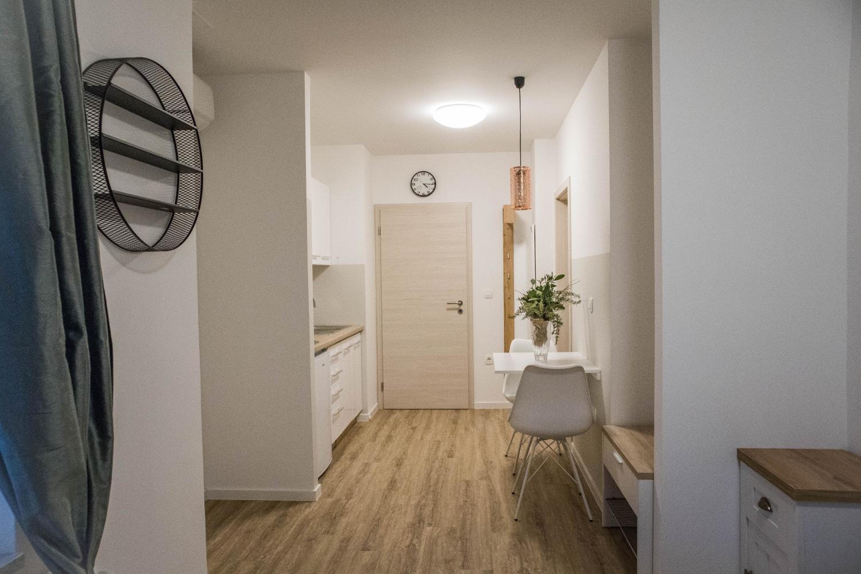 Studio Apartment photo 3