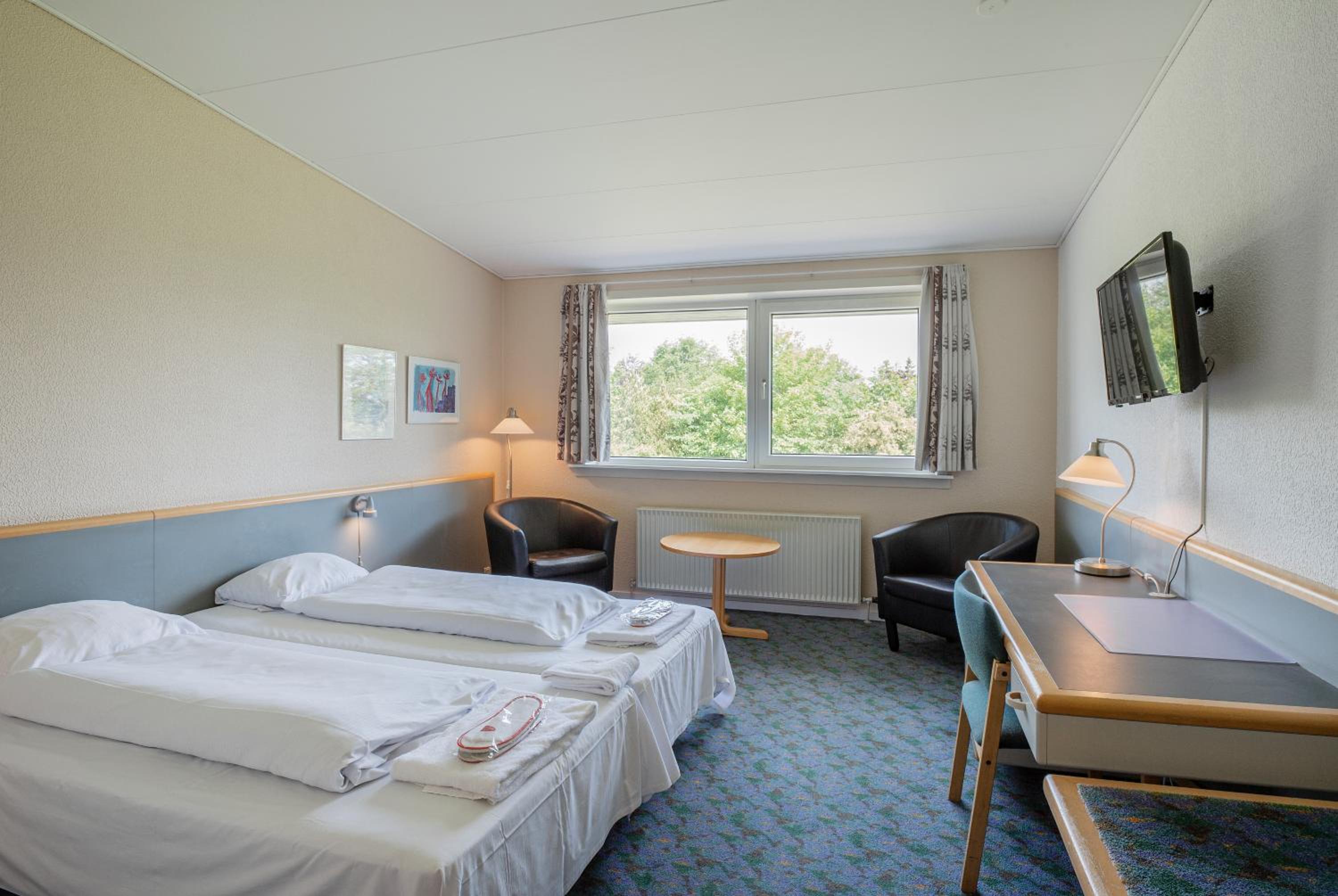 Double or Twin Room - Photo 4