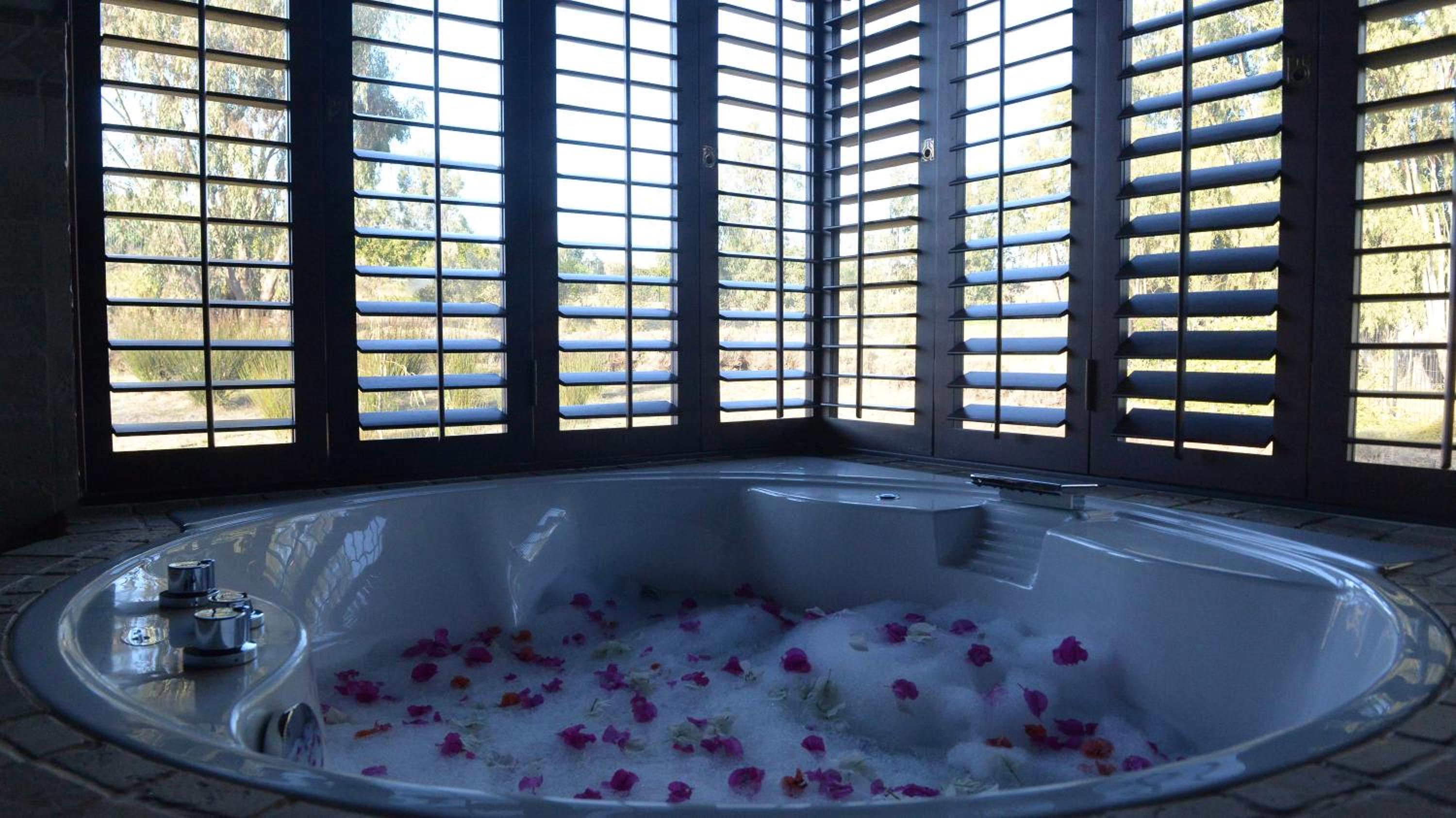 Suite photo 3