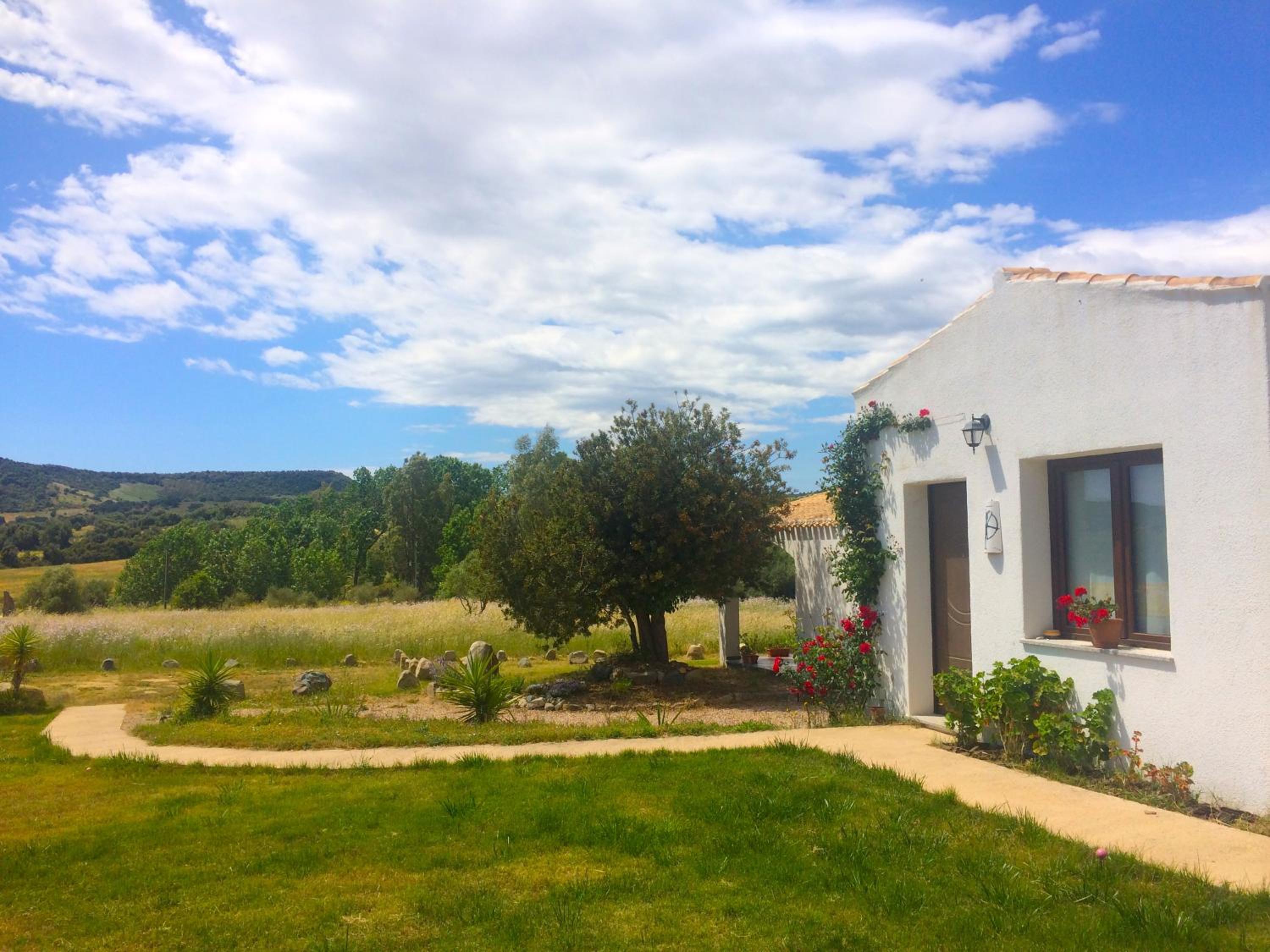 Superior Double Room with Garden View photo 2