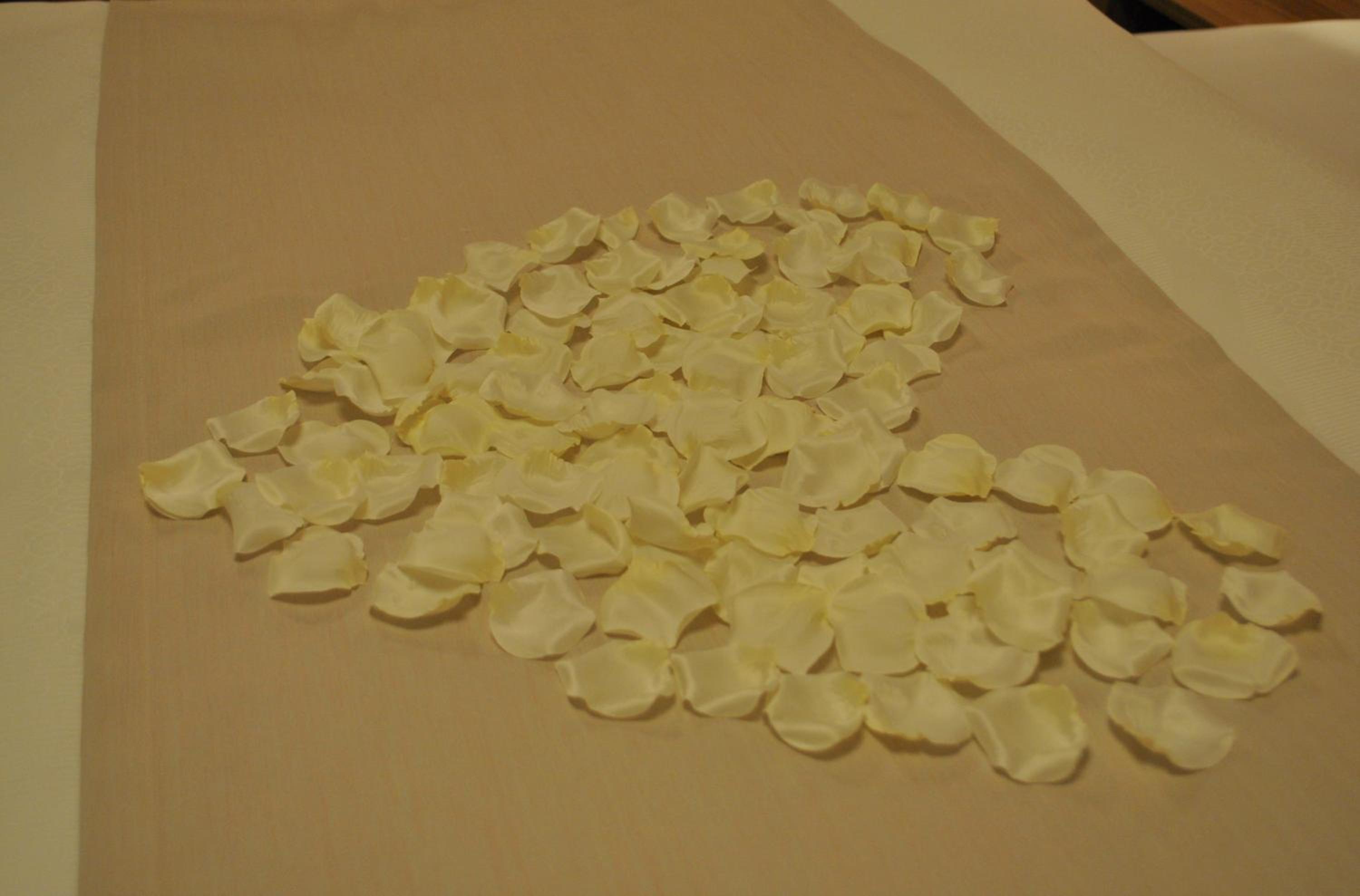Suite - Photo 11