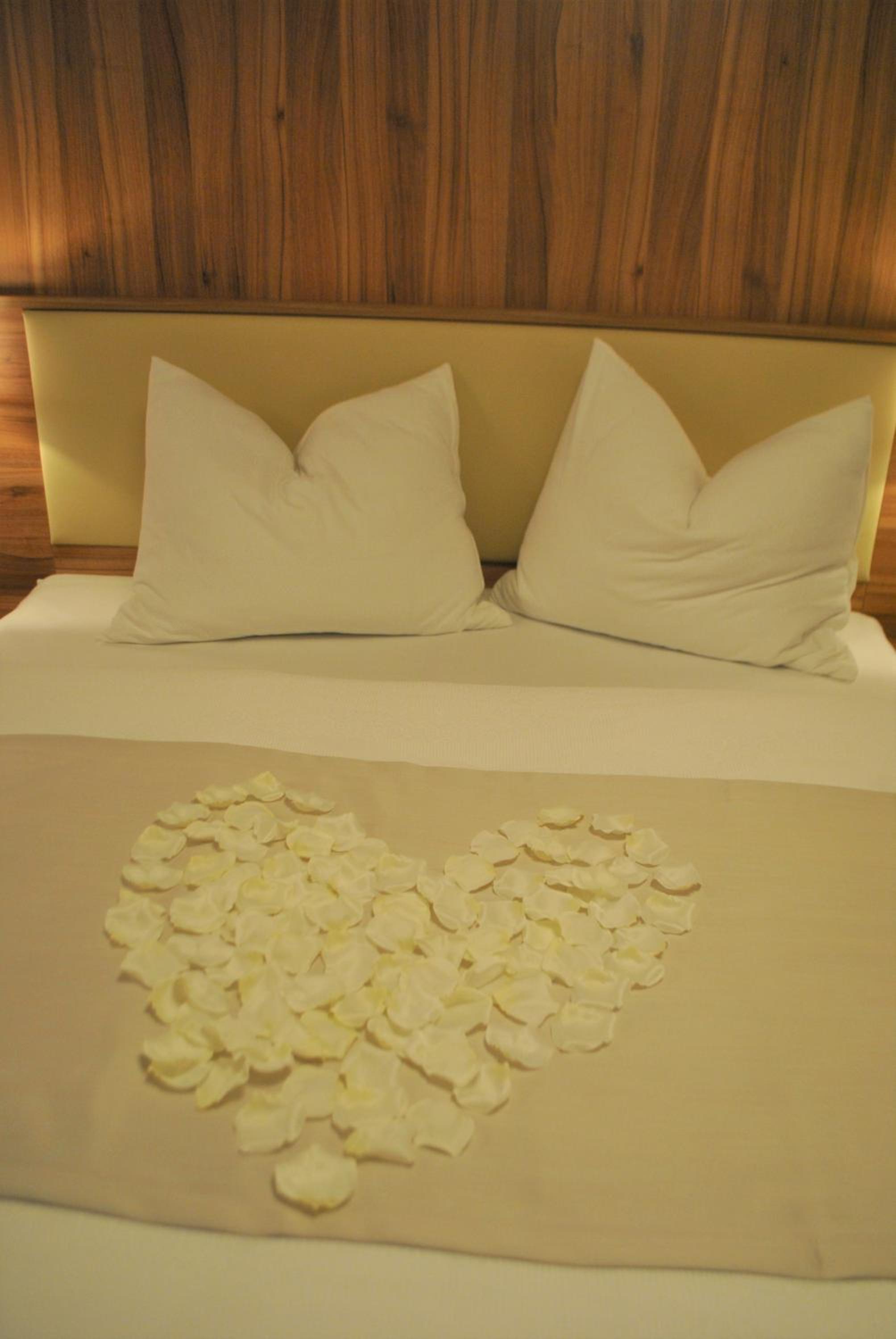 Suite - Photo 2
