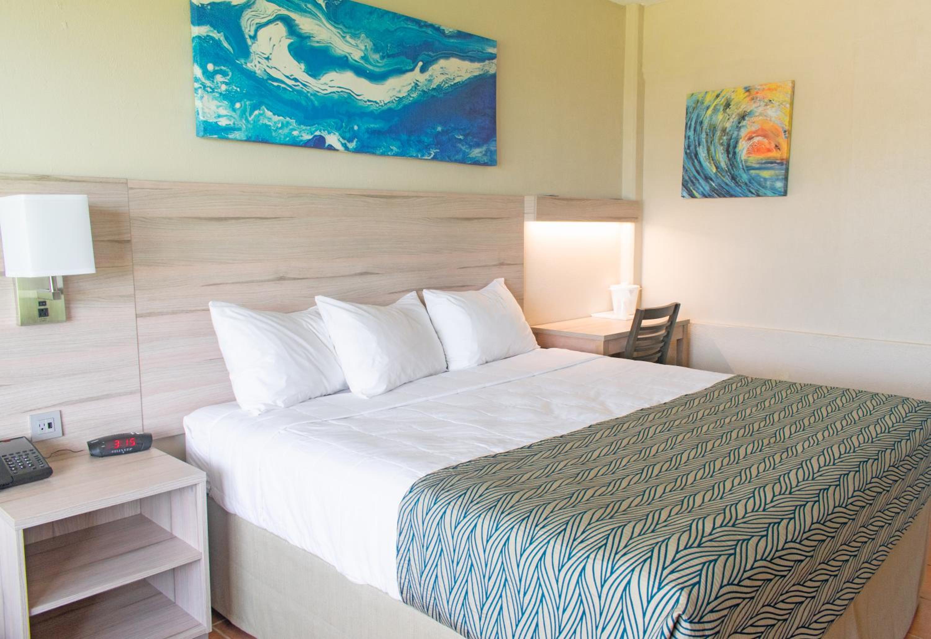 Single King Suite photo 3