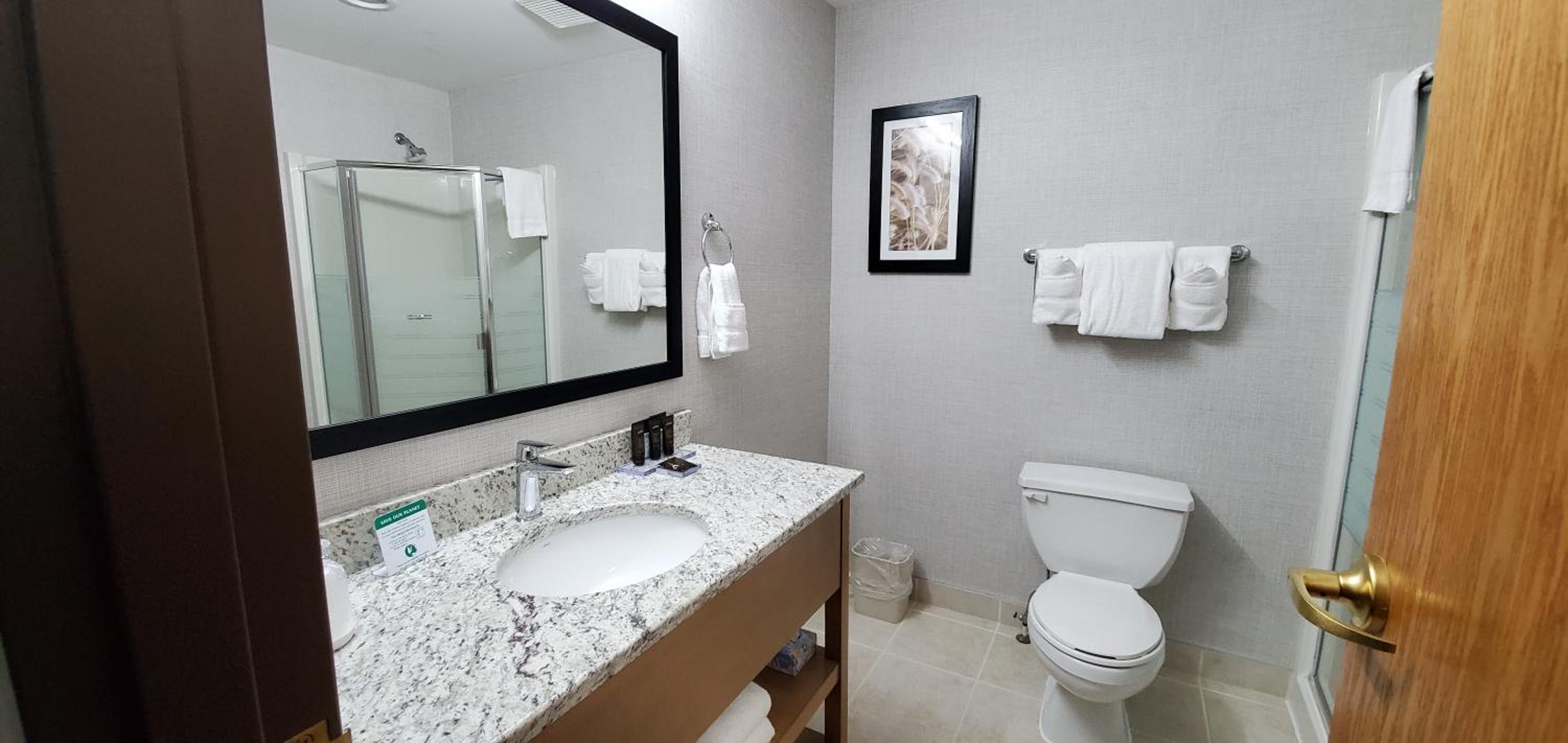 Deluxe King Suite - Non-Smoking - Photo 2