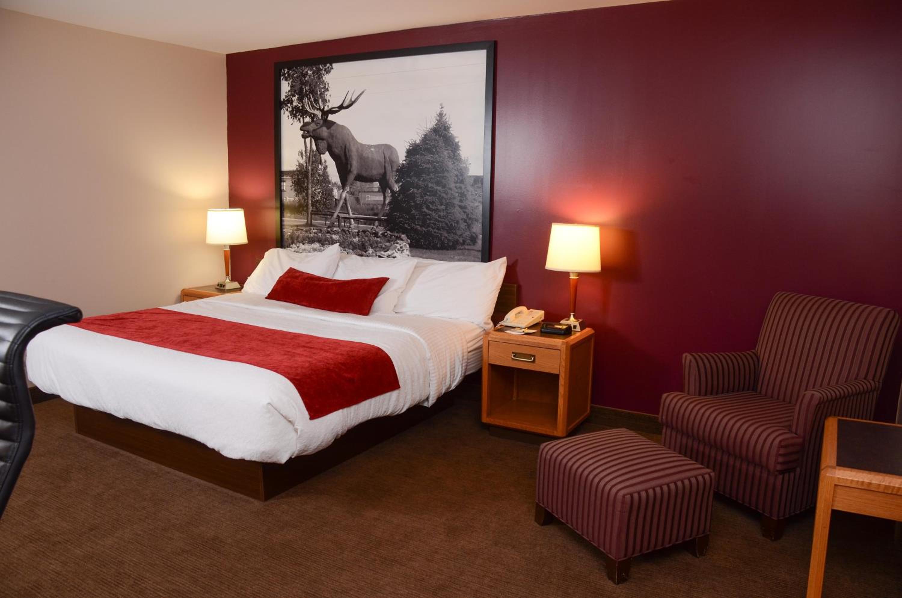 King Room - Non-Smoking - Photo 1