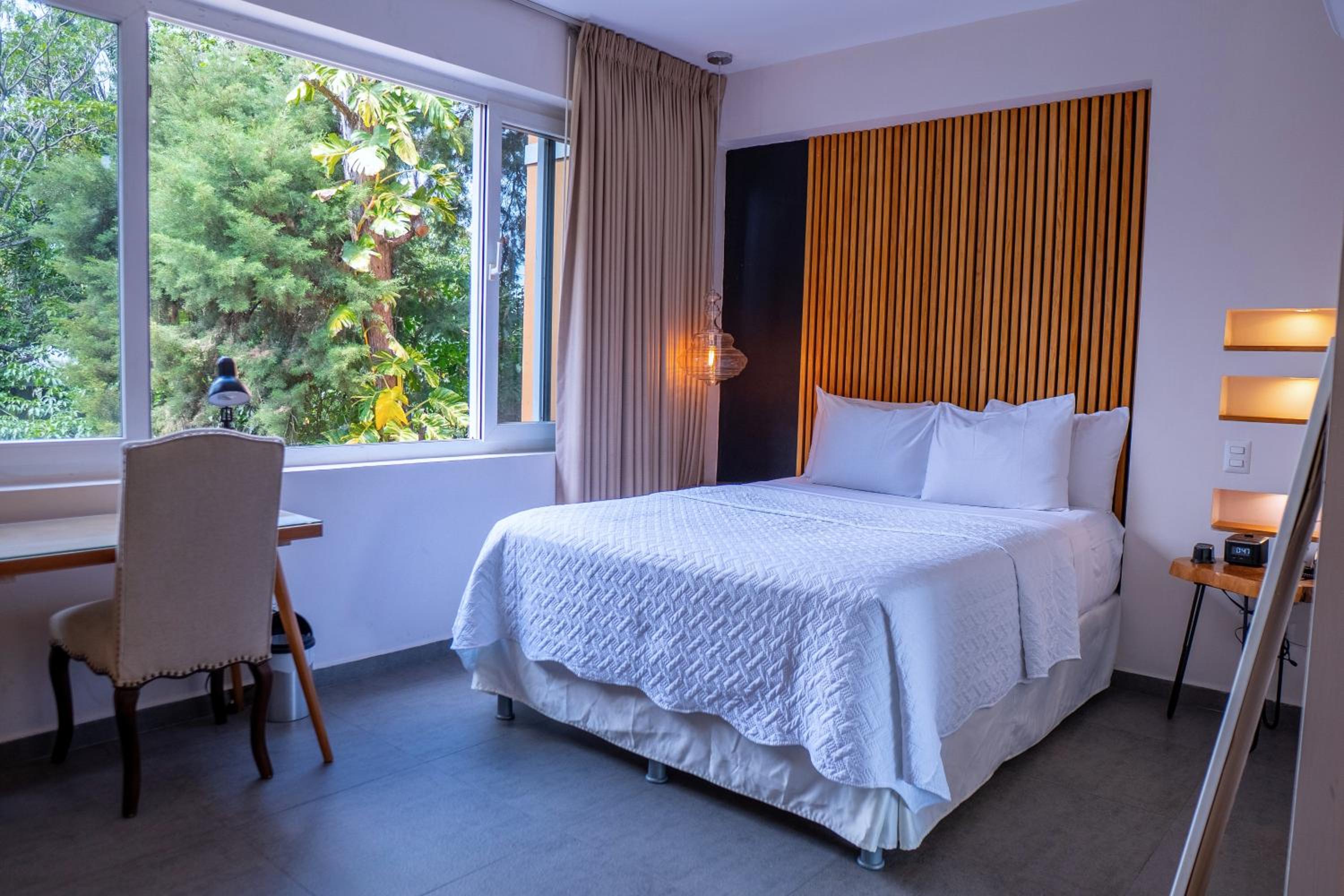 Standard Queen Room