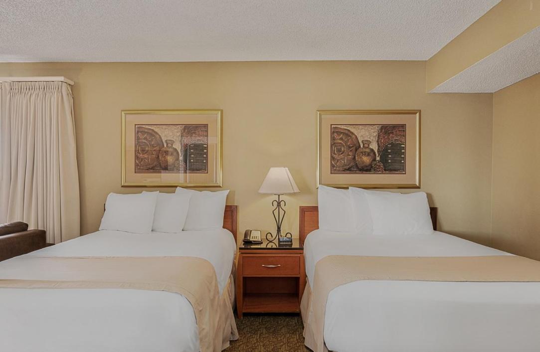 Studio Suite With Two Double Beds photo 1