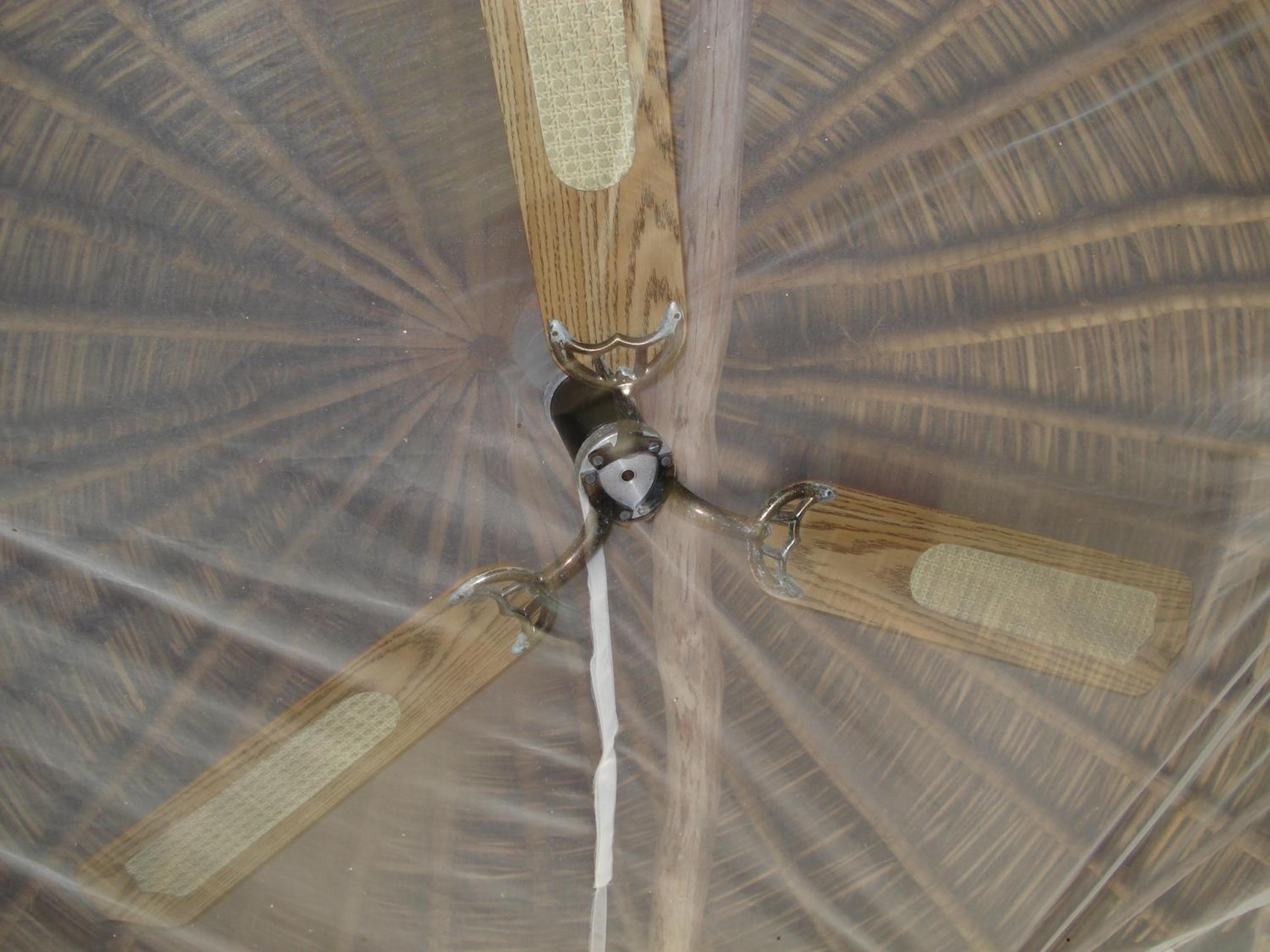 Natural Superior Bungalow photo 2