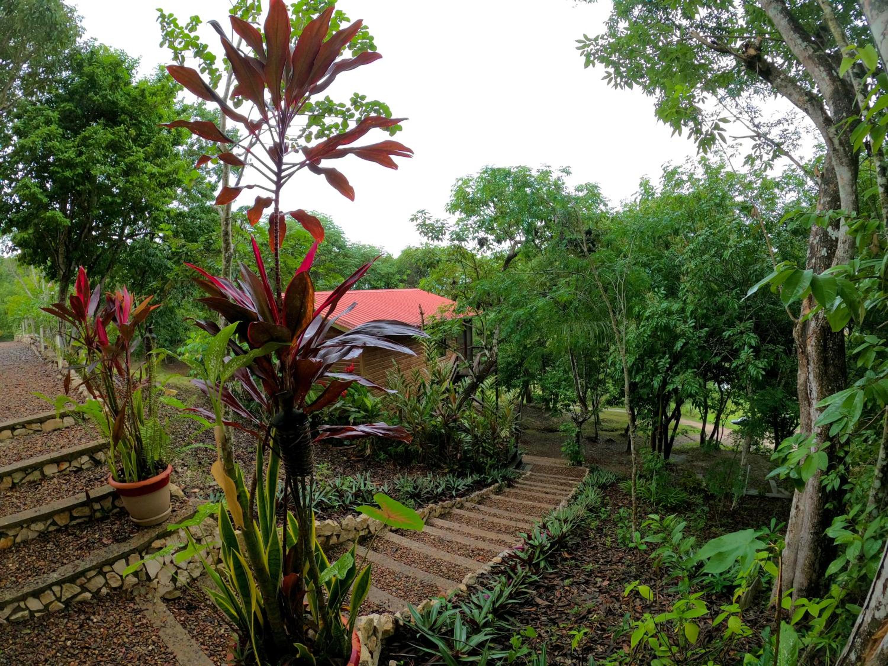 Tree Level Cabana with Kitchenette photo 1