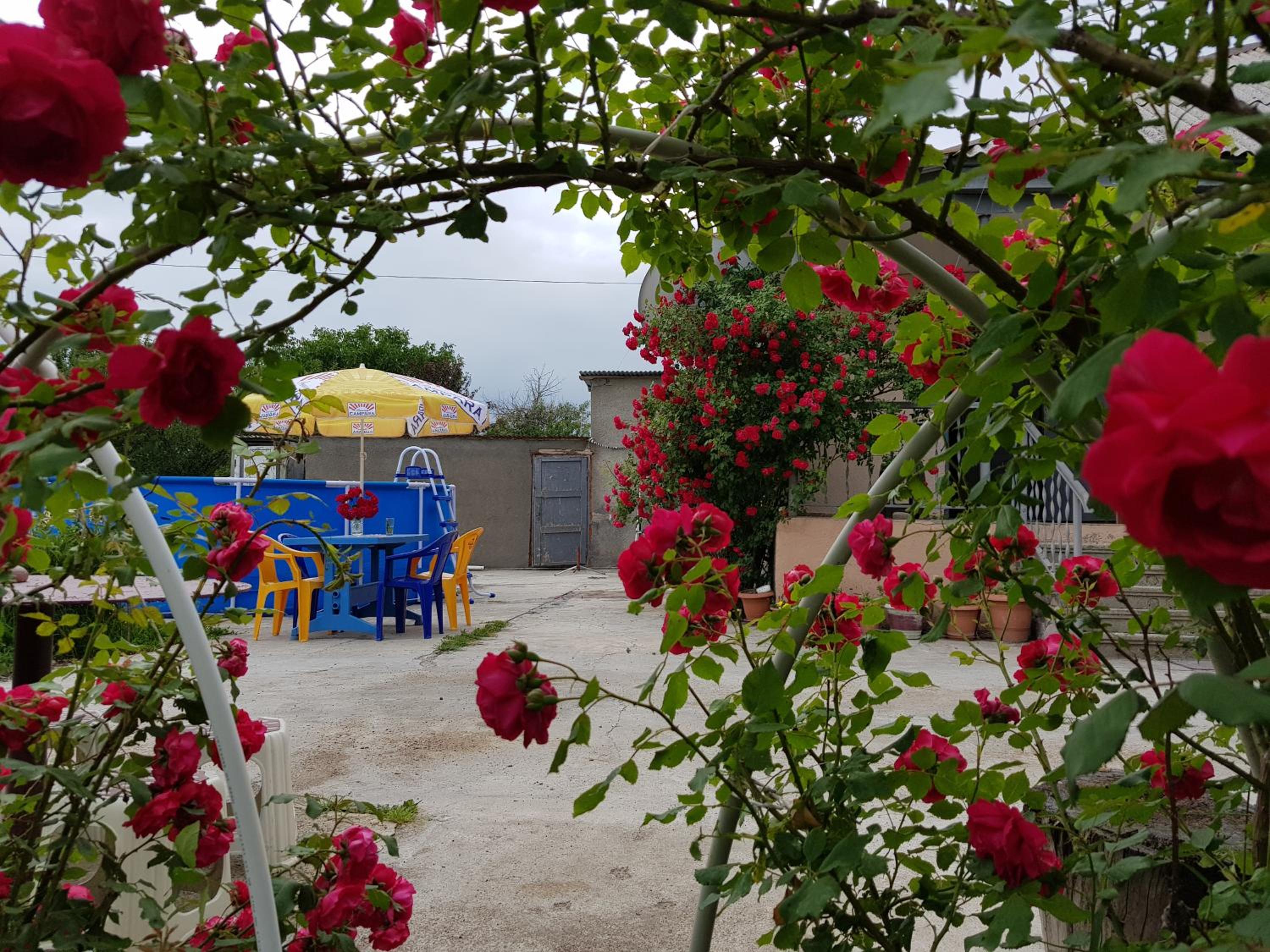 Vacation Home photo 3