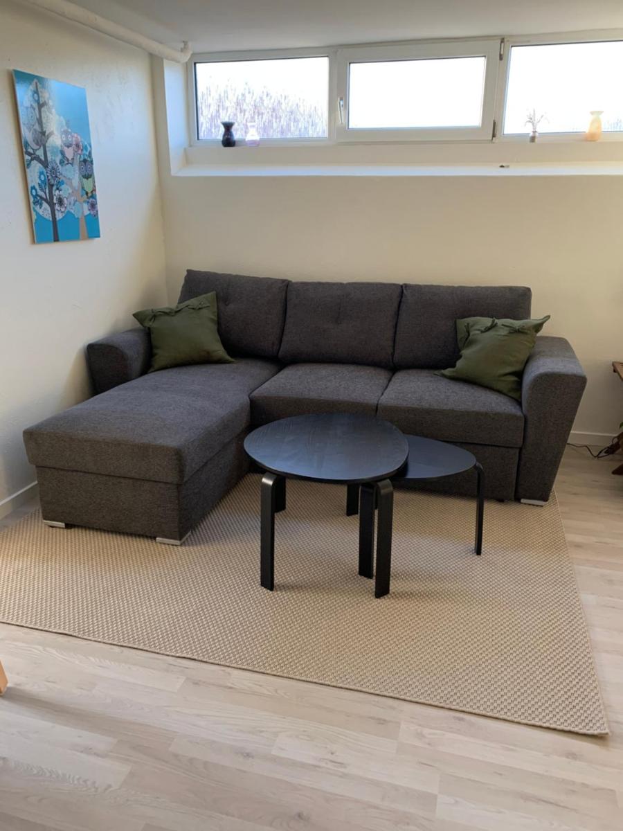 Two-Bedroom Apartment - Basement photo 2