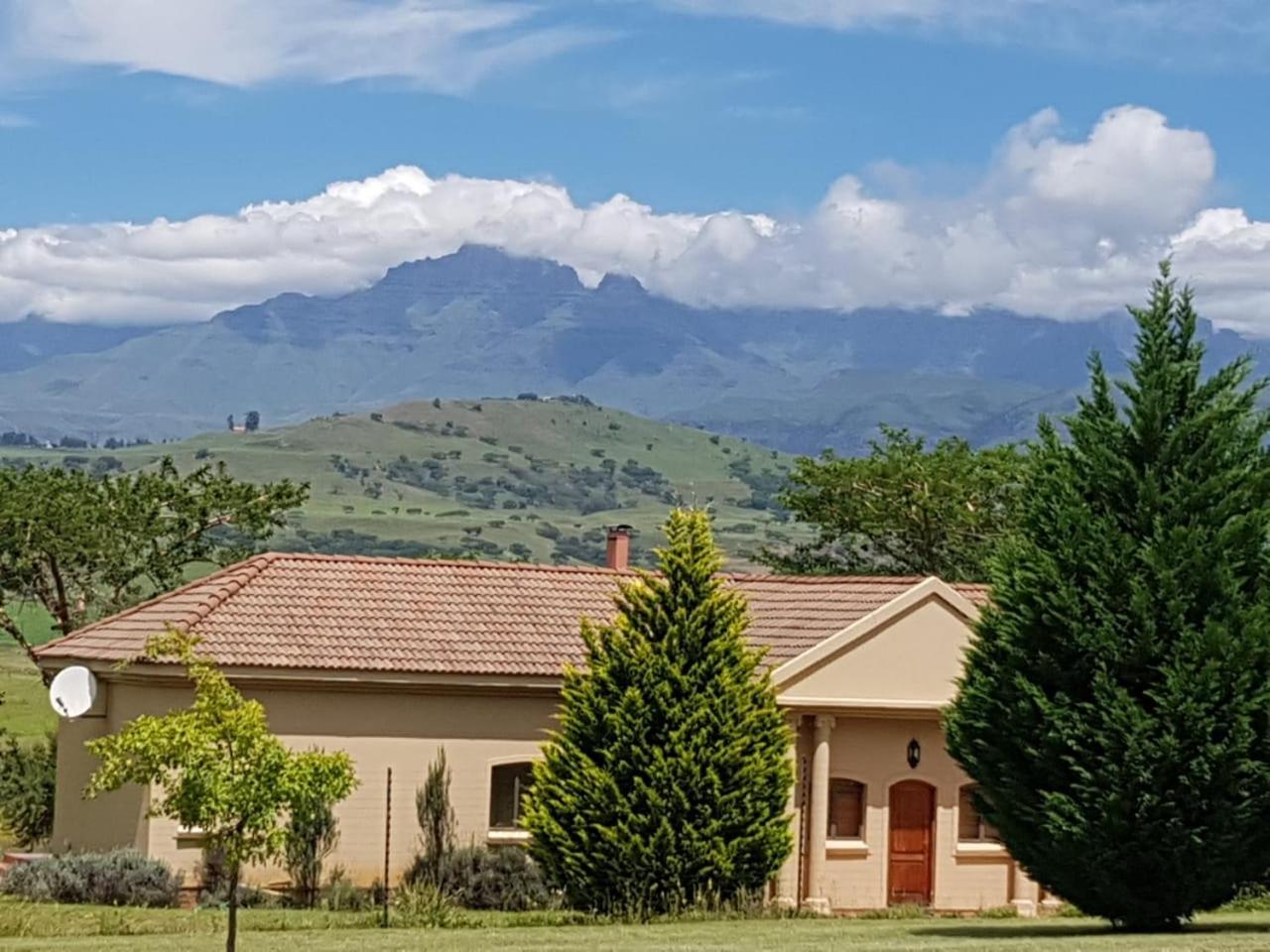 Suite with Mountain View - Photo 5