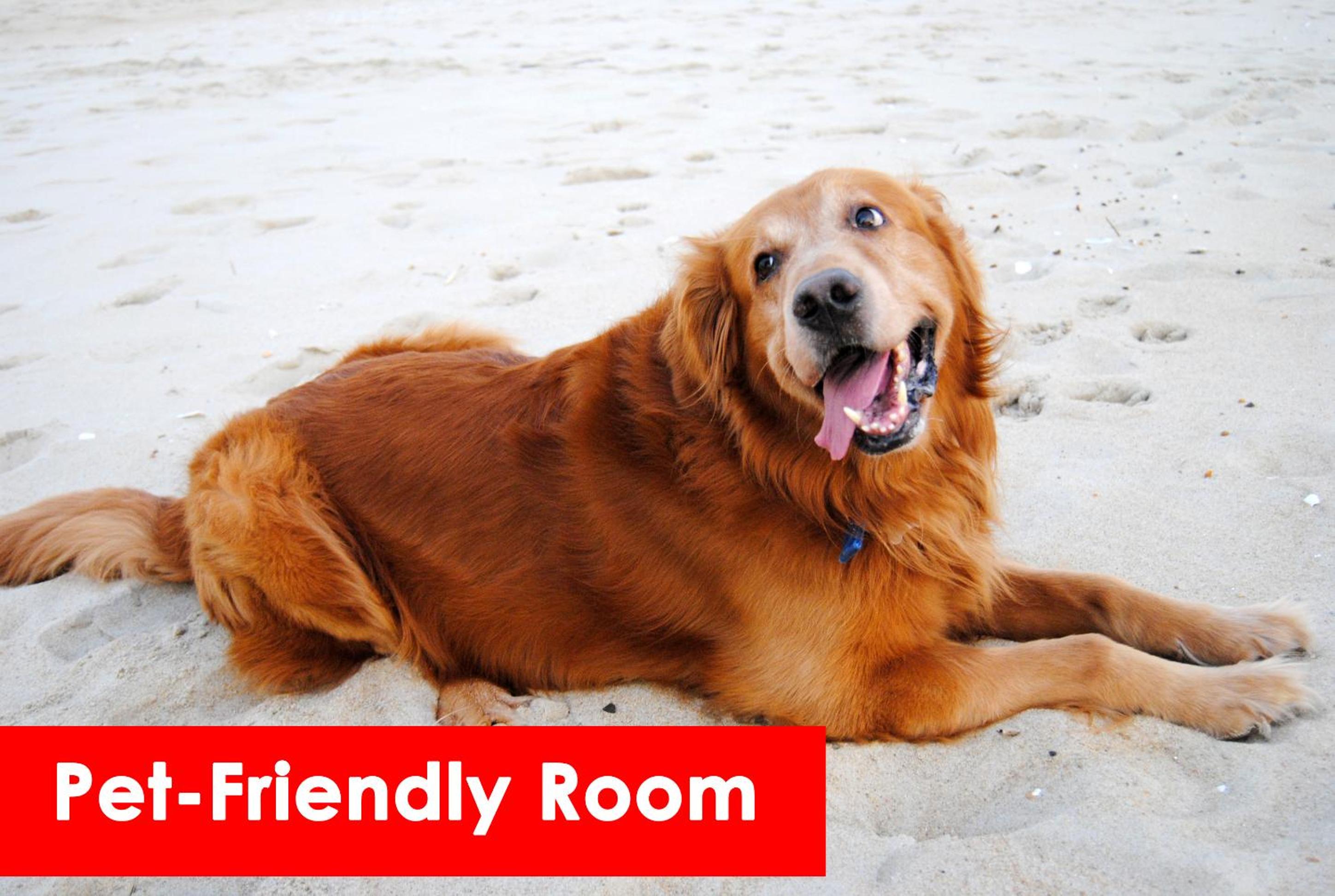 Pet Friendly Room With Two Queen Beds - Photo 5