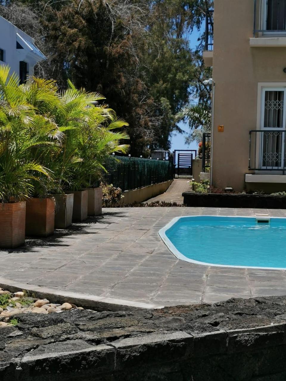 Apartment - Photo 13