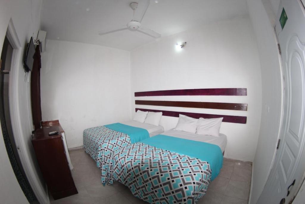 Twin Room photo 1