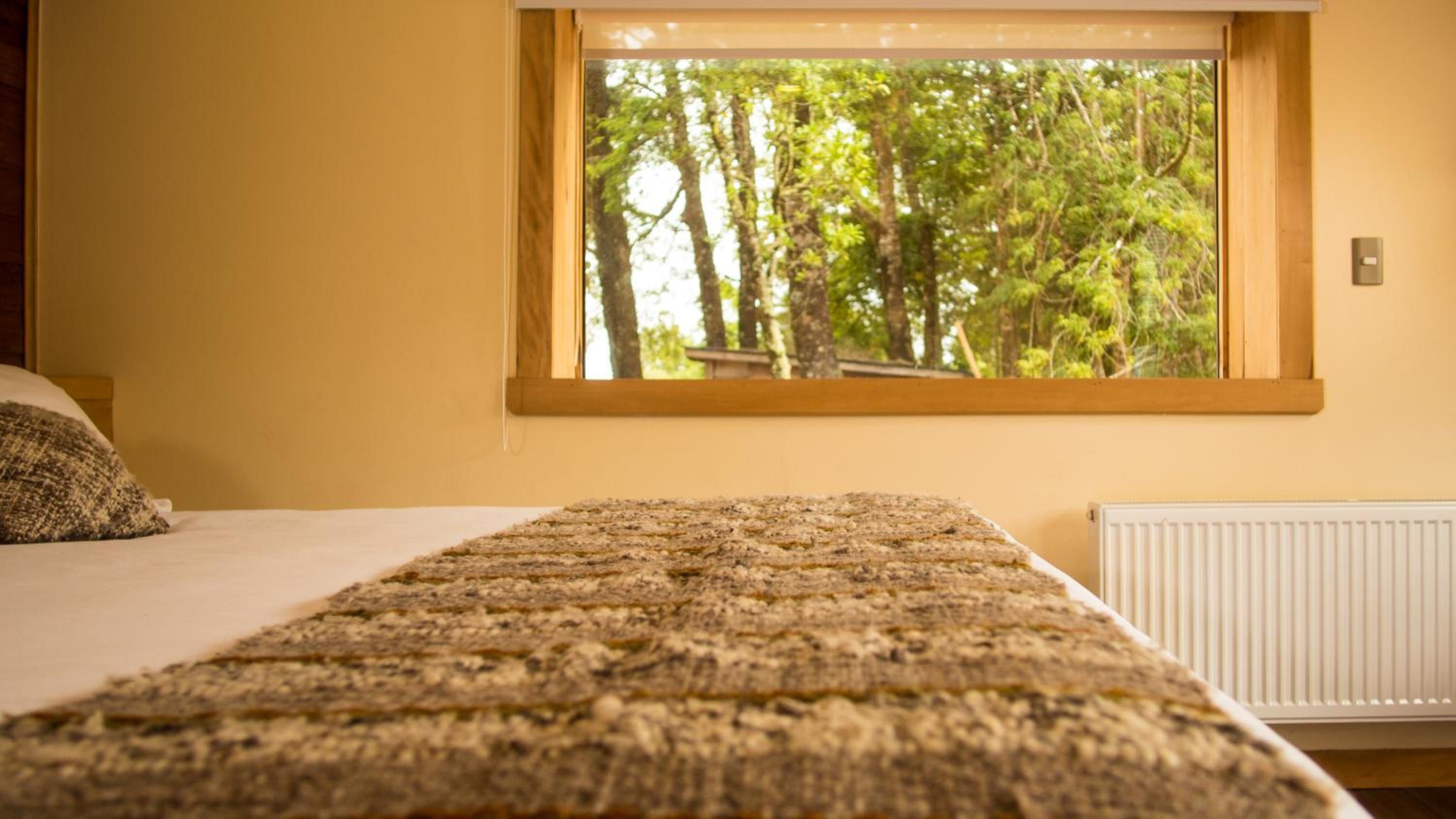Queen Room with Garden View photo 1