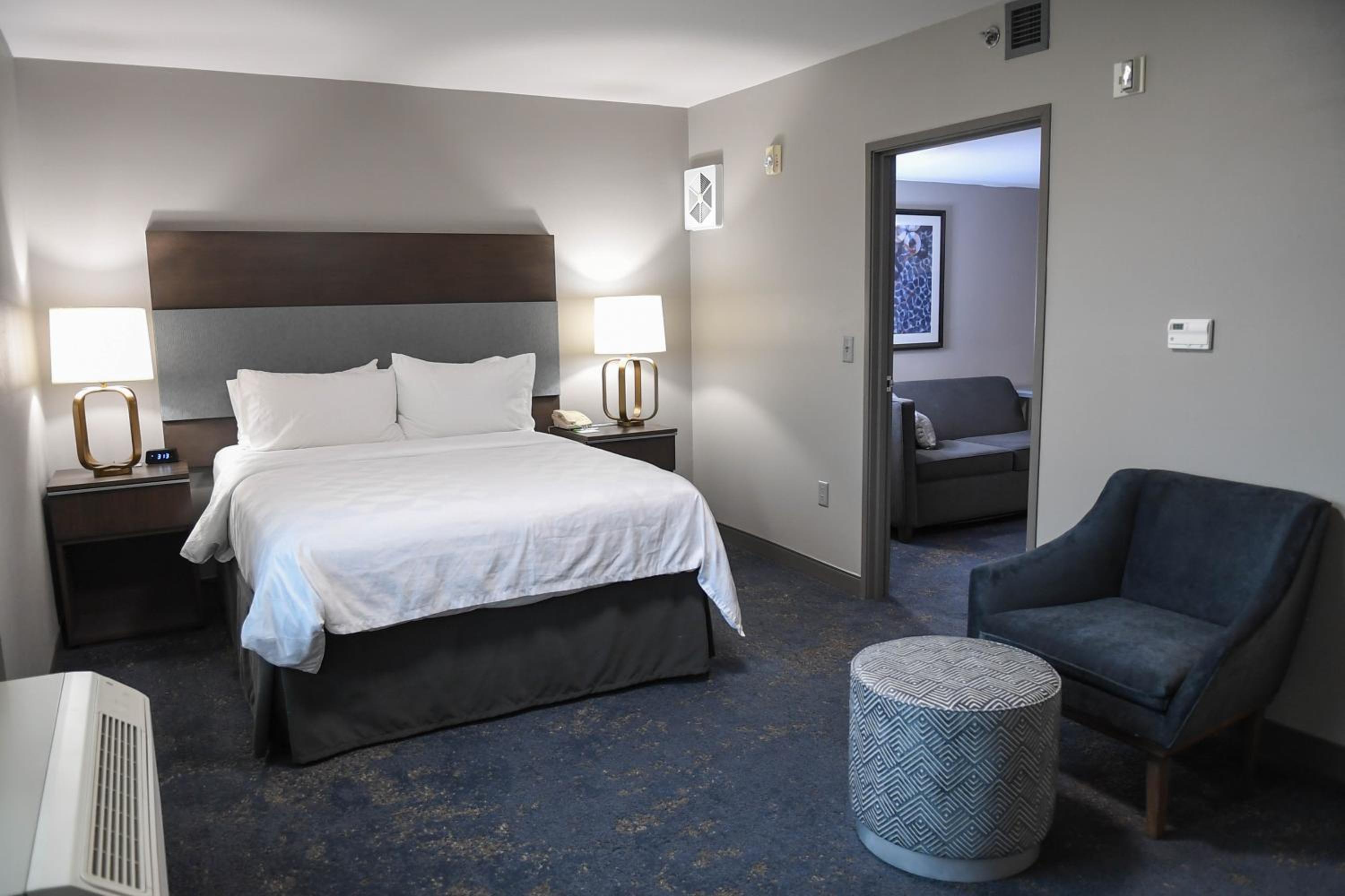 One-Bedroom Suite - Photo 3