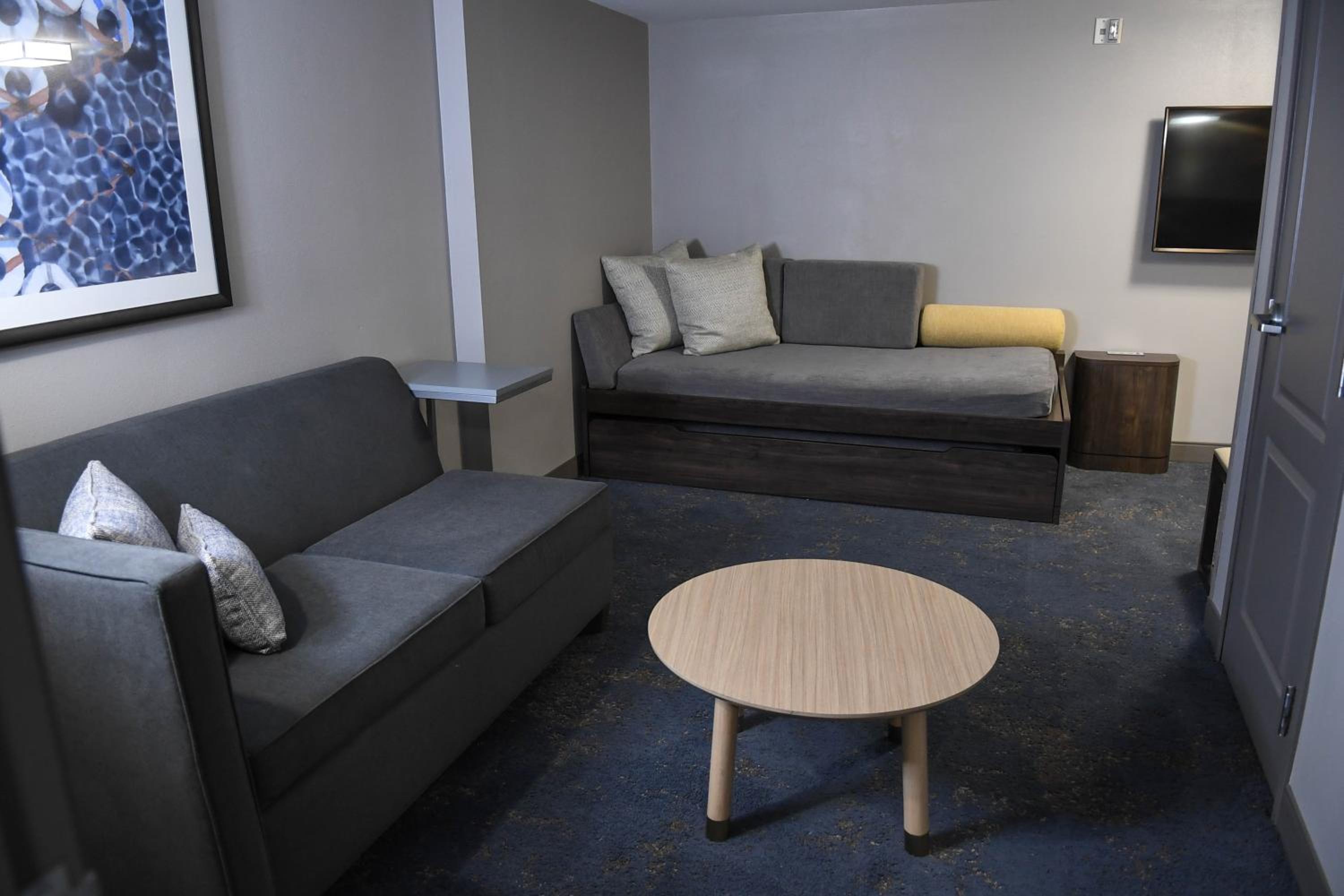 One-Bedroom Suite - Photo 1