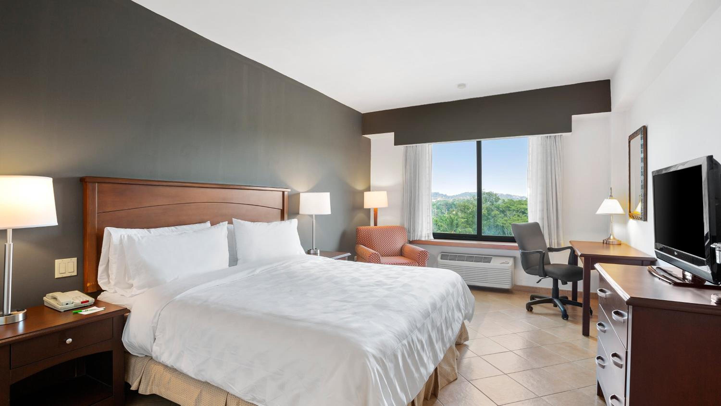 Standard King Room with Pool View - Photo 4