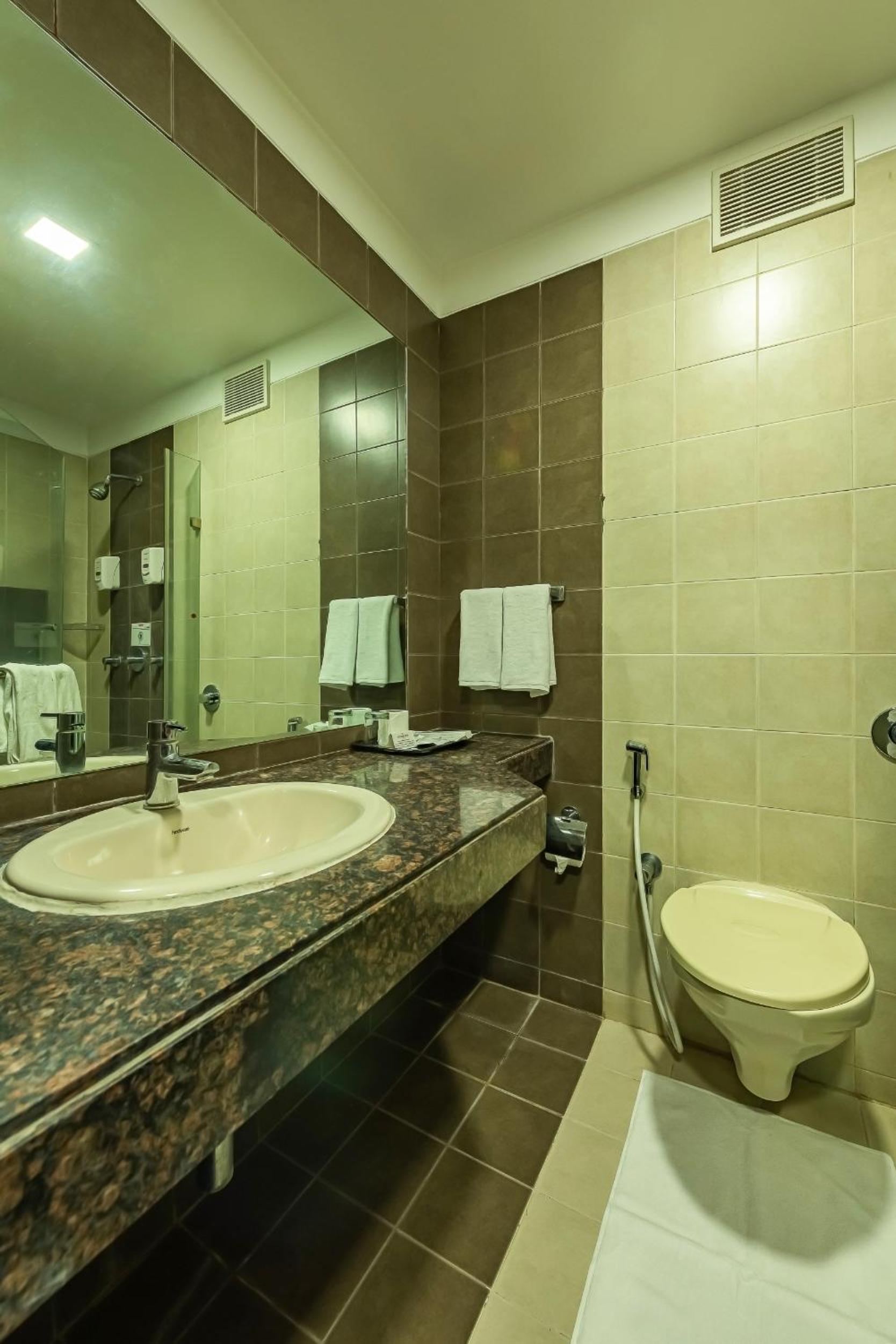 Premier Double or Twin Room photo 2