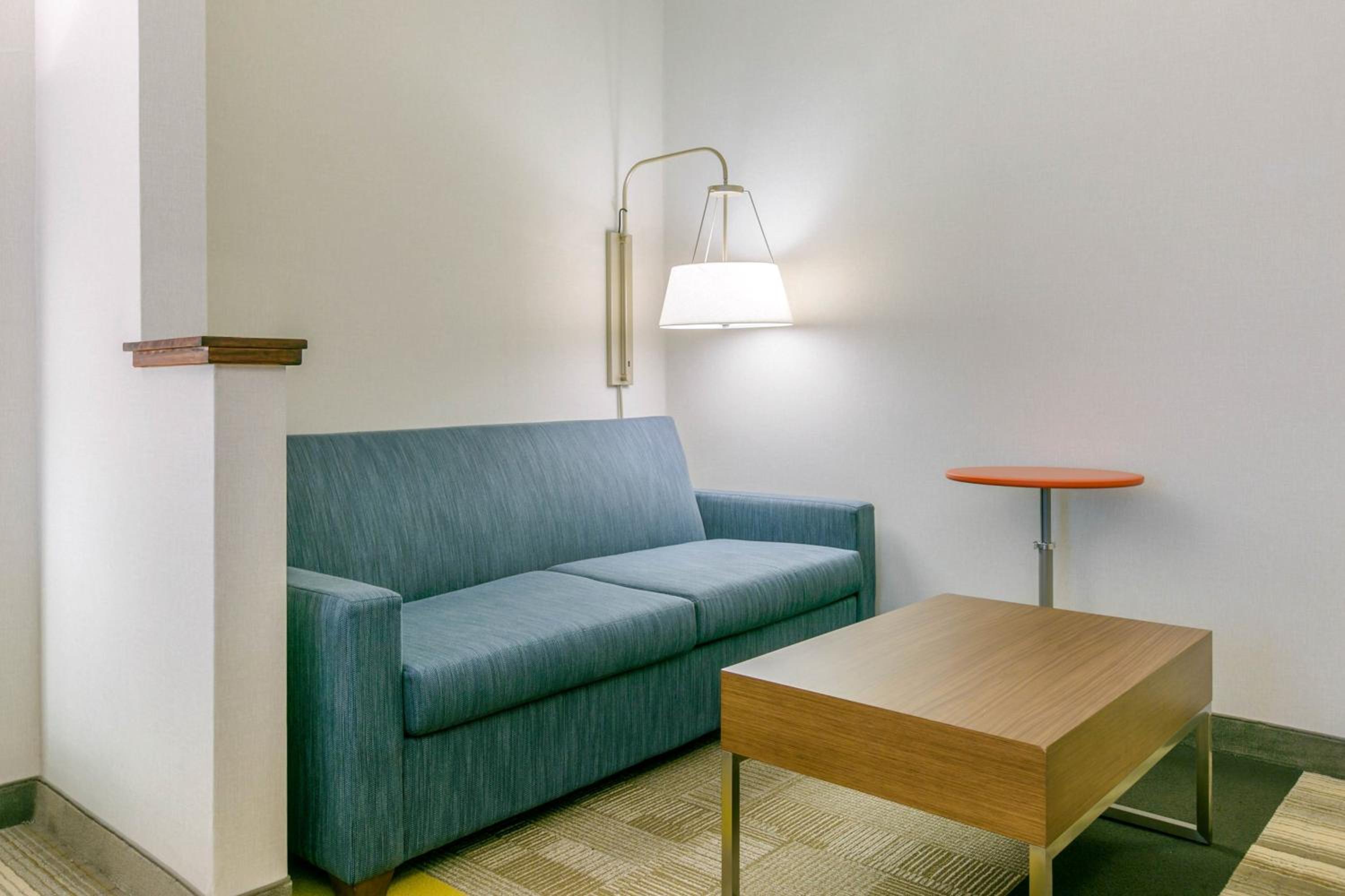 King Suite with Sofa Bed - Photo 9