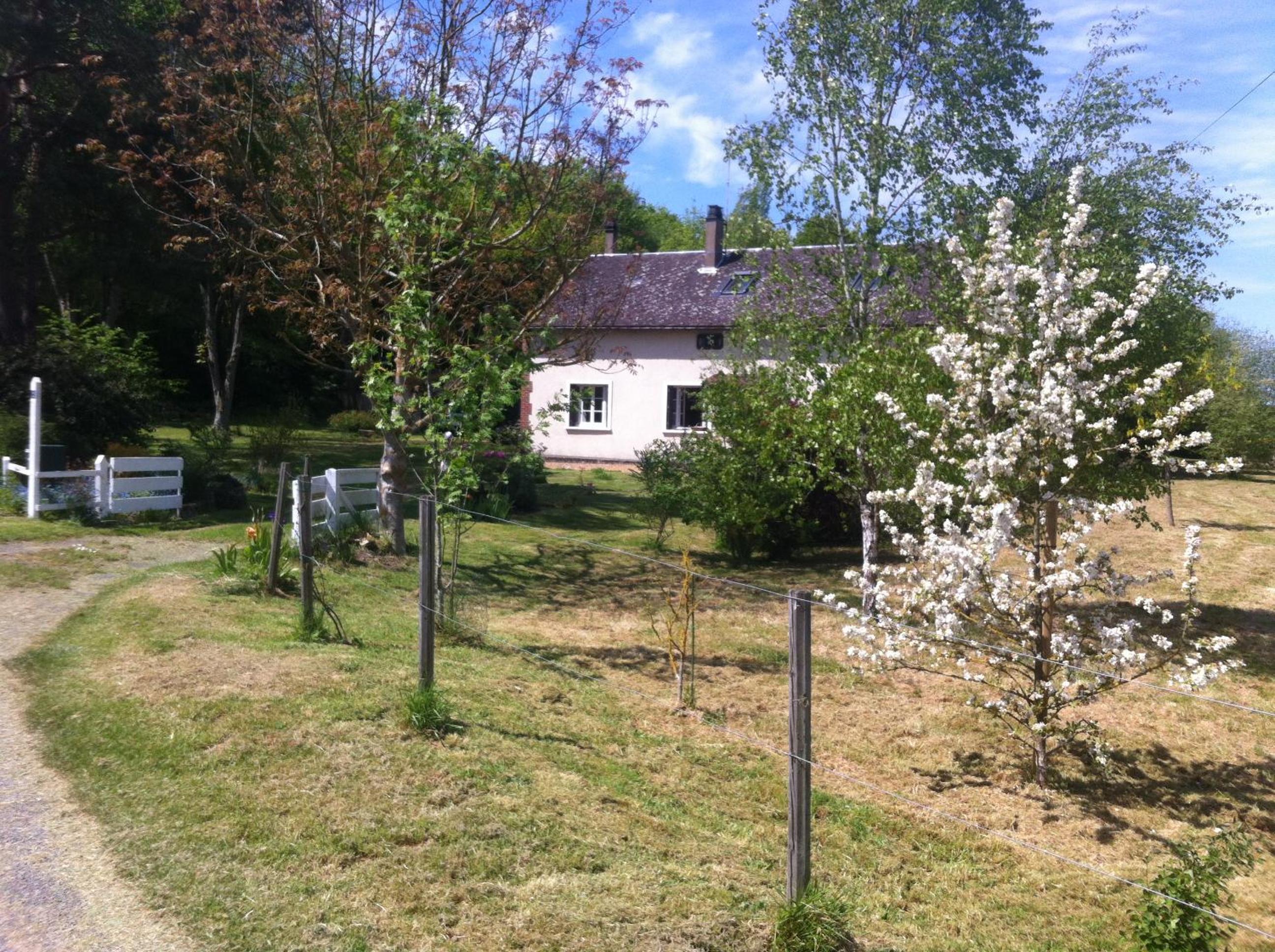 Double Room with Garden View photo 1