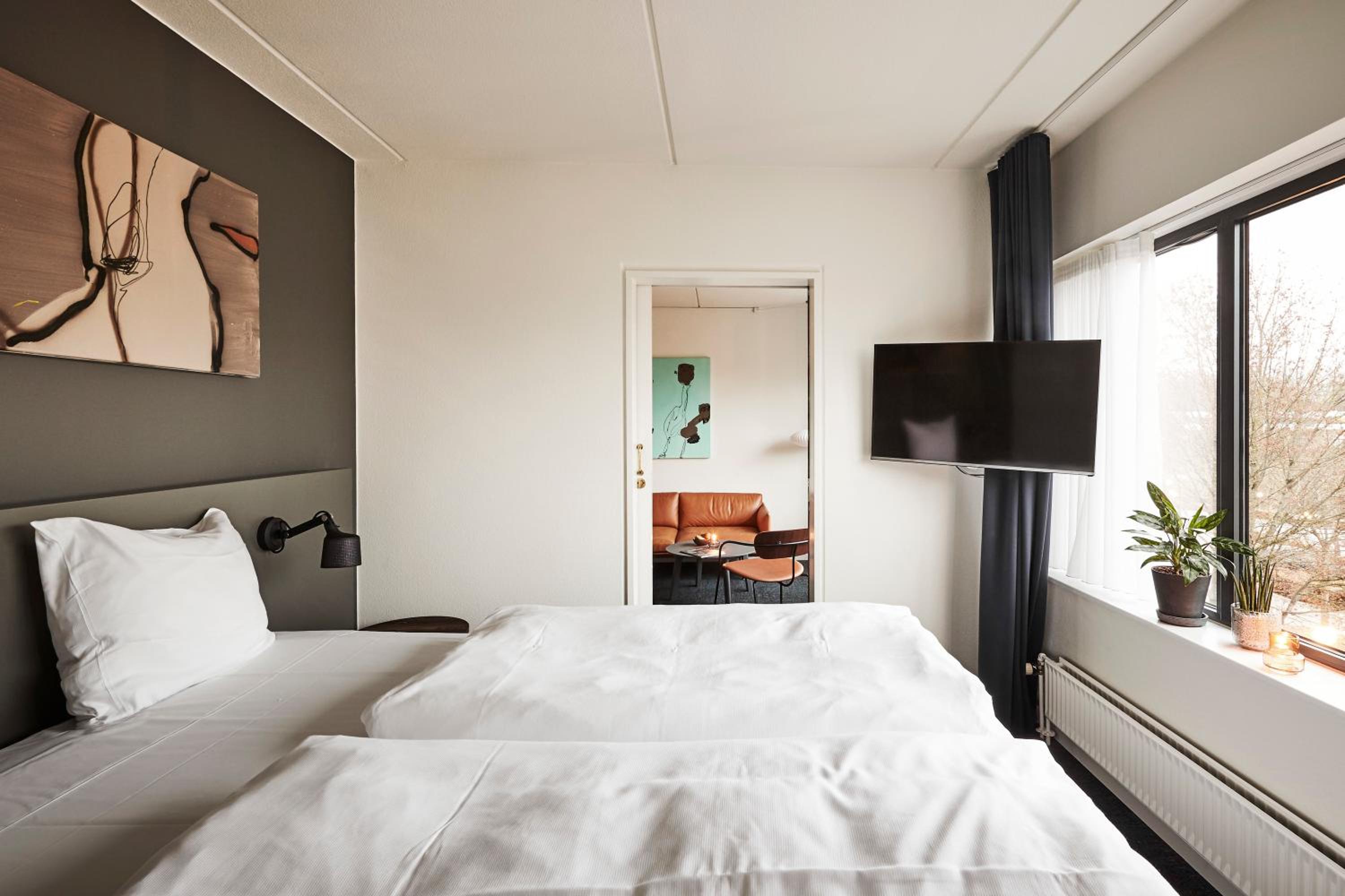 Suite - Photo 4
