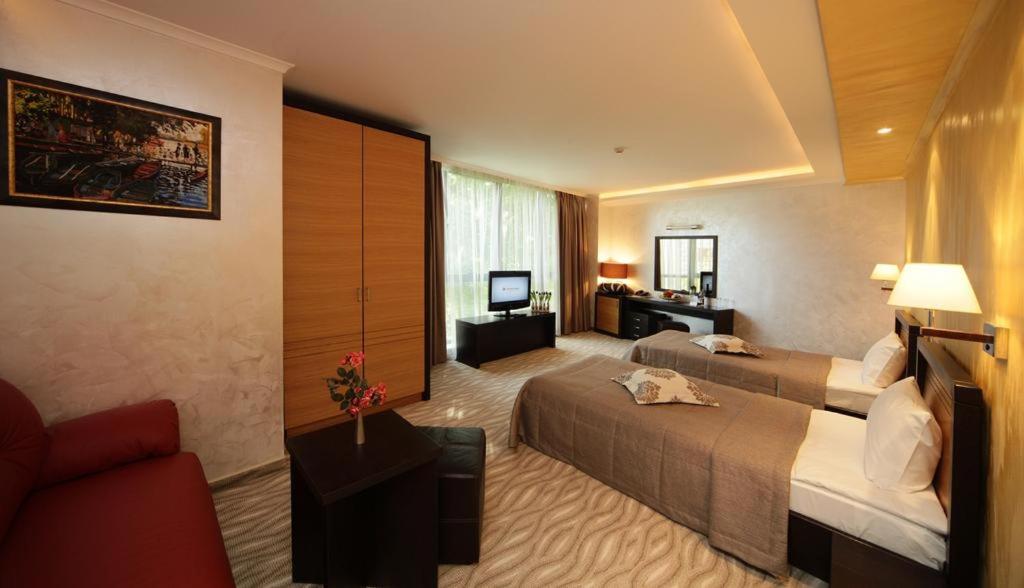 Deluxe Twin Room photo 1