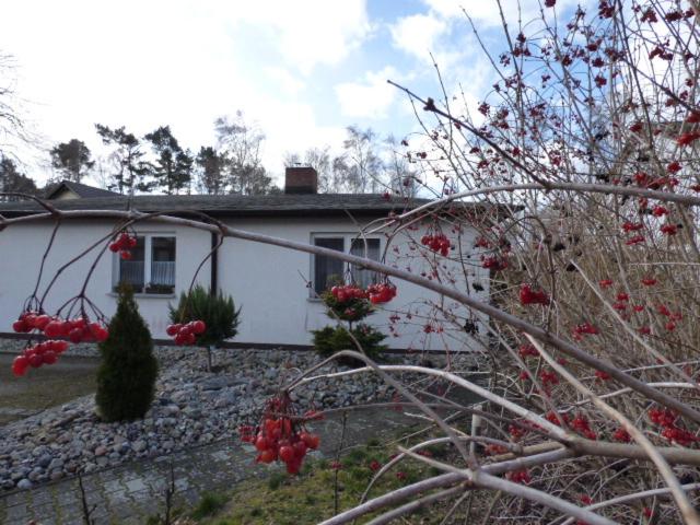 Vacation Home photo 3