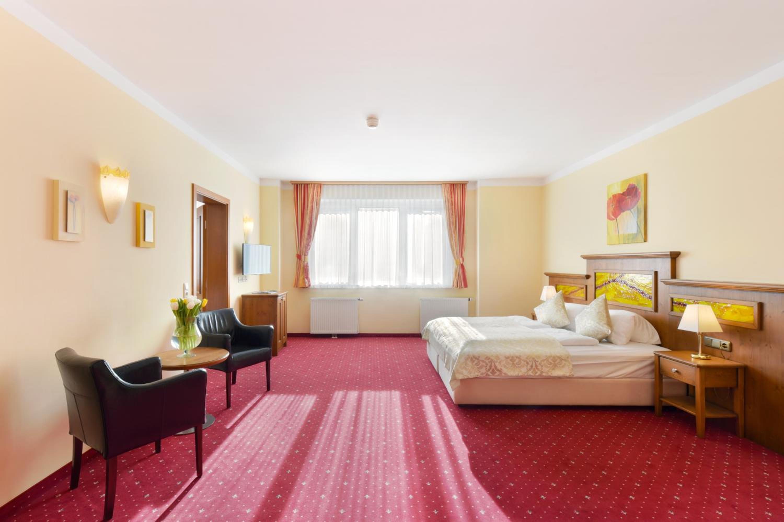 Basic One-Bedroom-Apartment photo 2