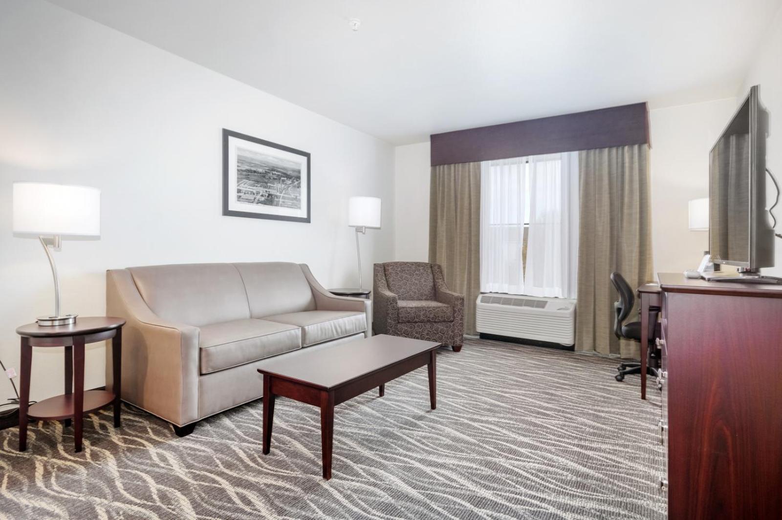 Deluxe Suite - Photo 10