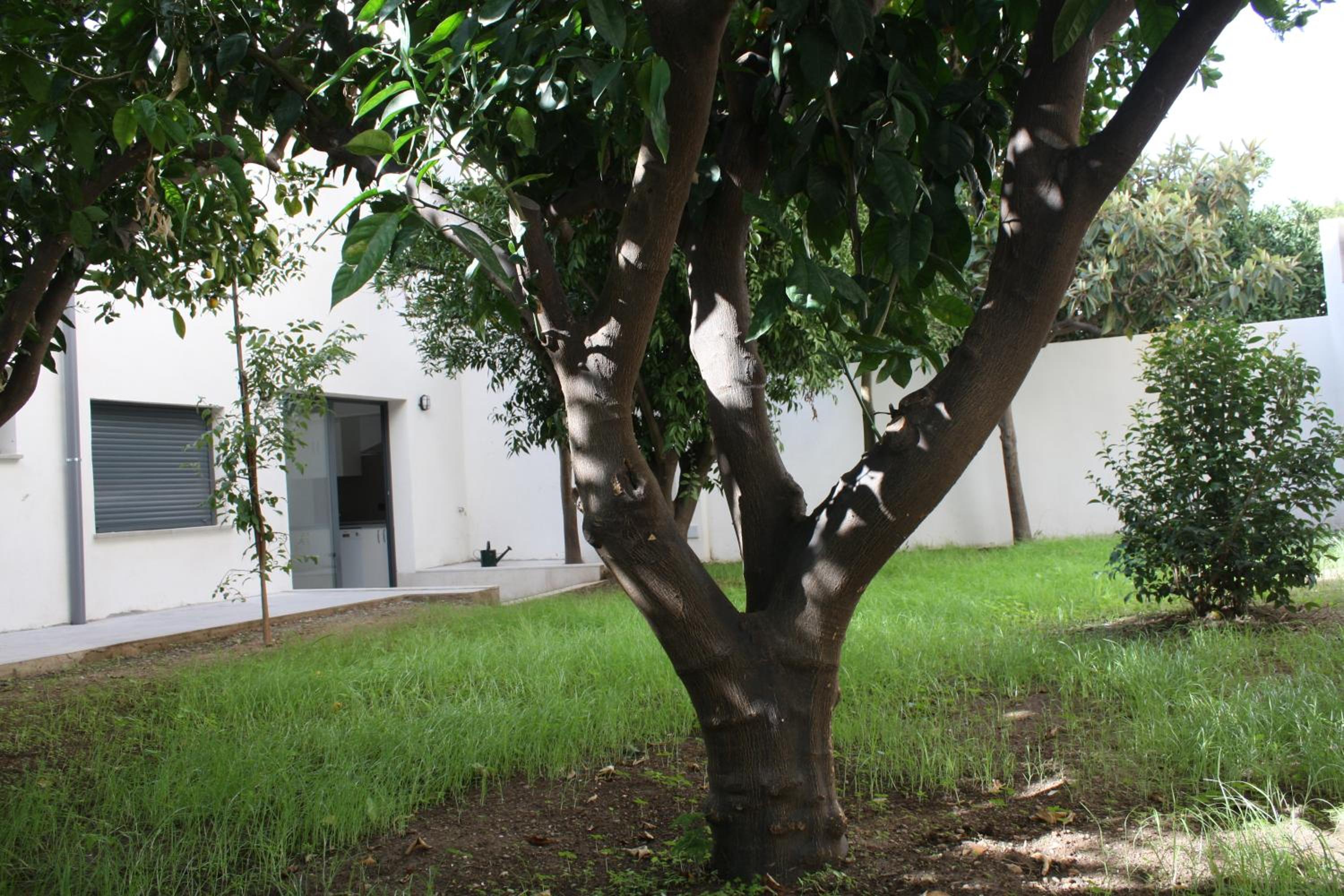 Double Room with Terrace - Photo 5