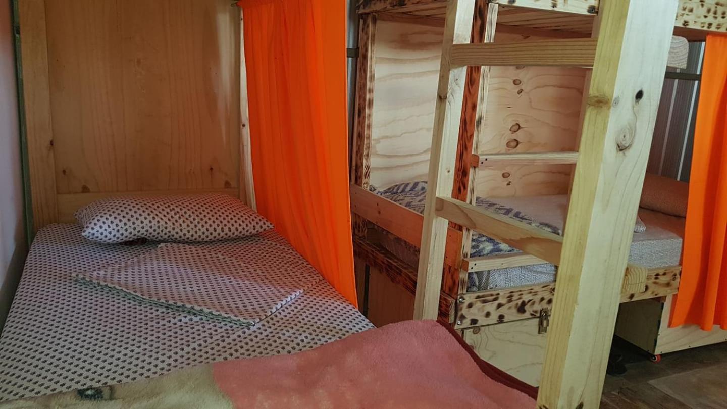 Bed in 6-Bed Mixed Dormitory Room